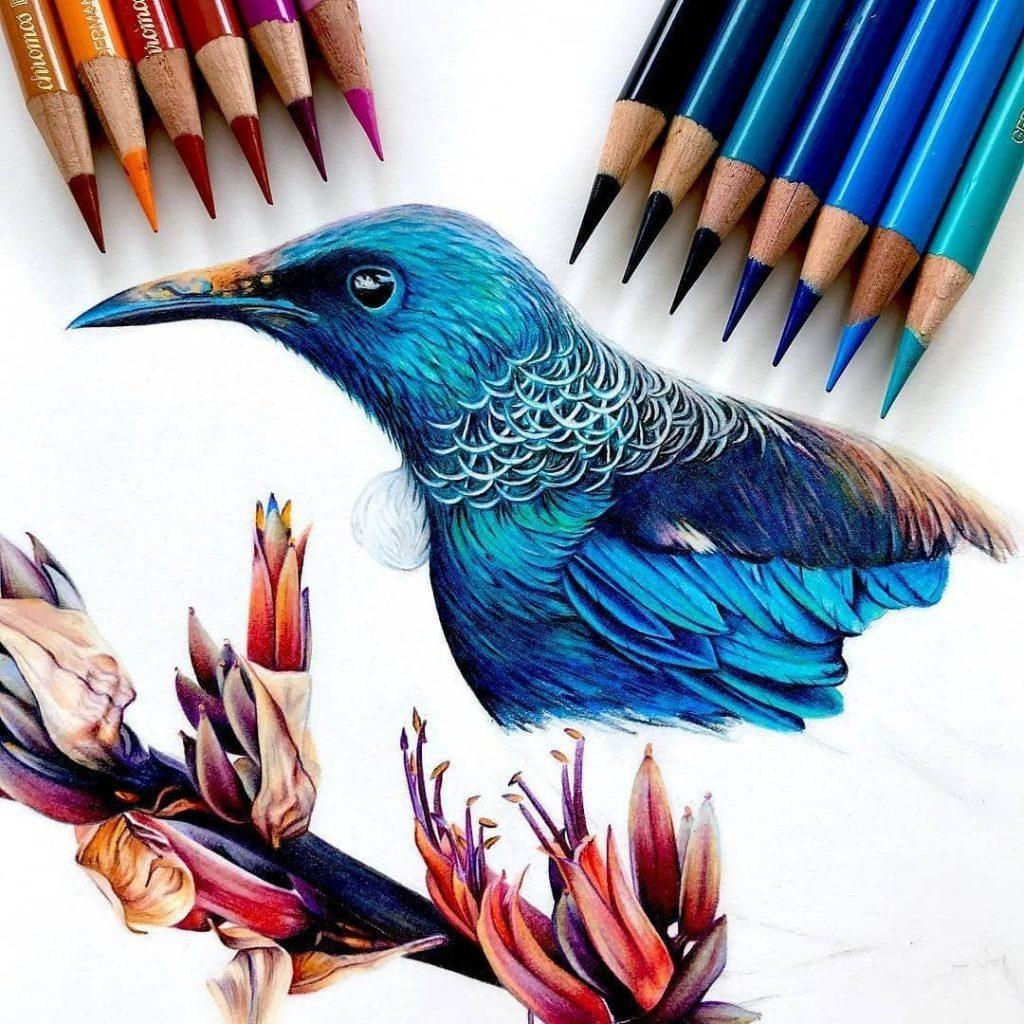 Wallpaper #OBqEUJMB1yWOL4qgwYA7143 Color Pencils Drawing