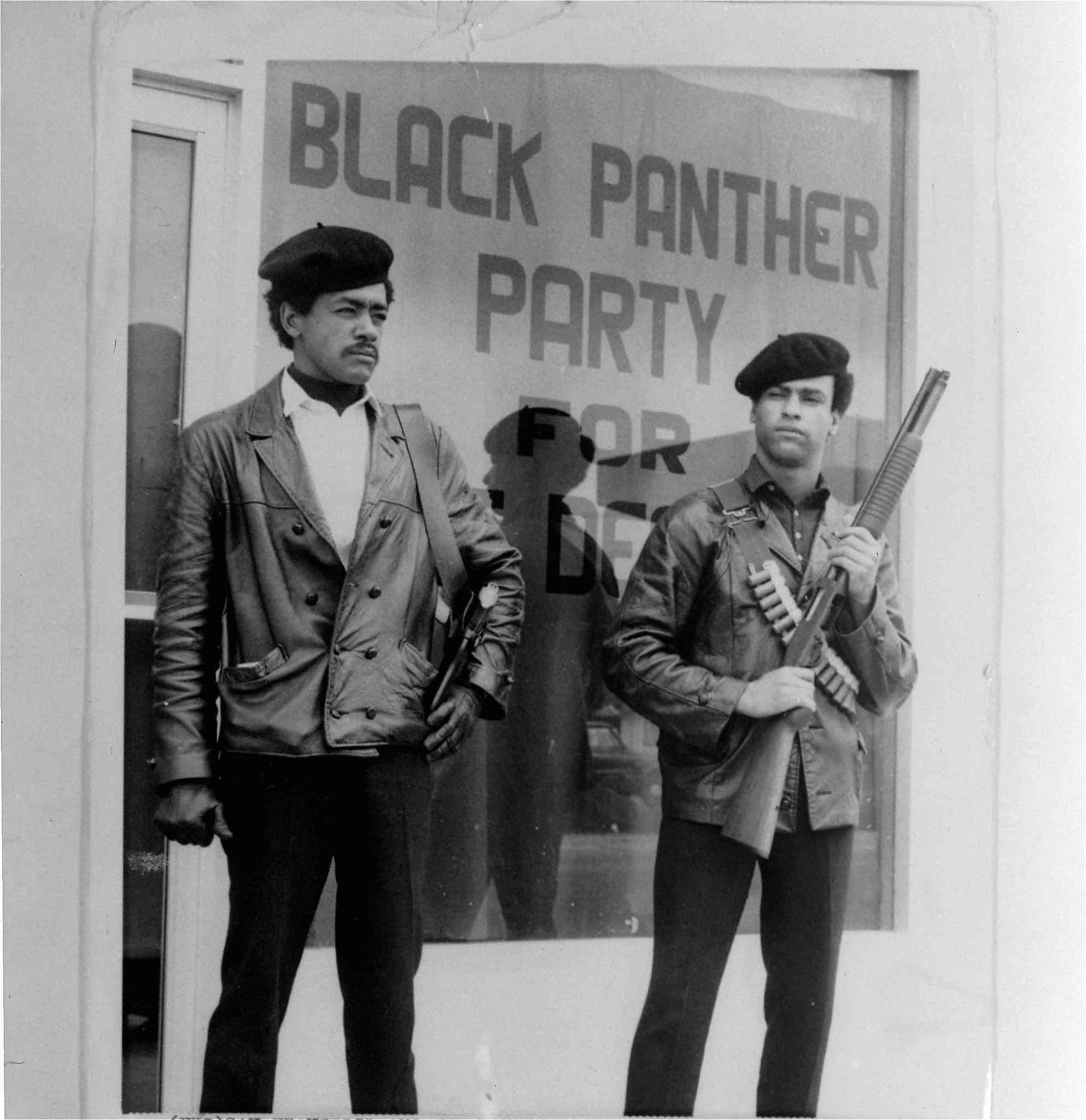 Wallpaper #6d884 The Black Panthers Vanguard of the Revolution Documentary About