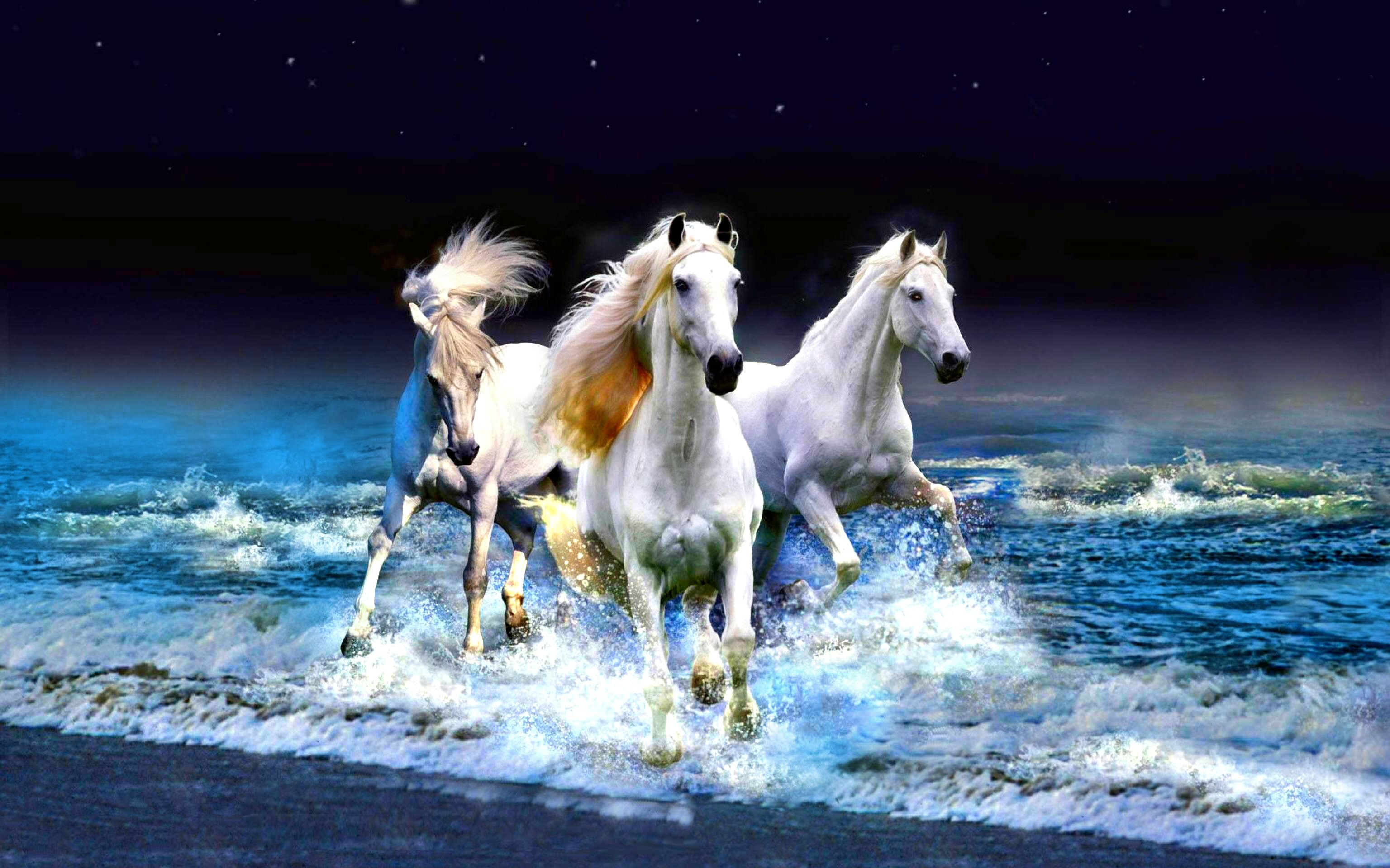 Wallpaper #Gx2aLJMBlOZrFDOk68sw253 Running Horses Wallpaper 63 Images