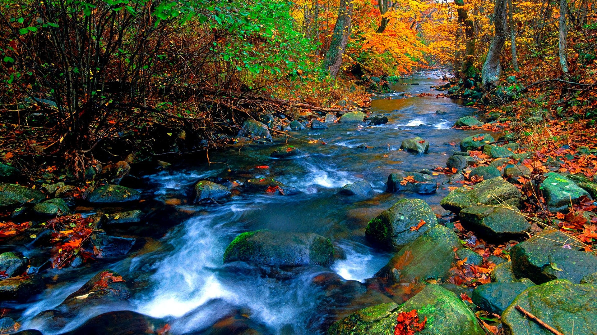 Wallpaper #fXfEJ5MB-pgBXx60HqfB278 Vivid Instal the New for Windows Iheartstat