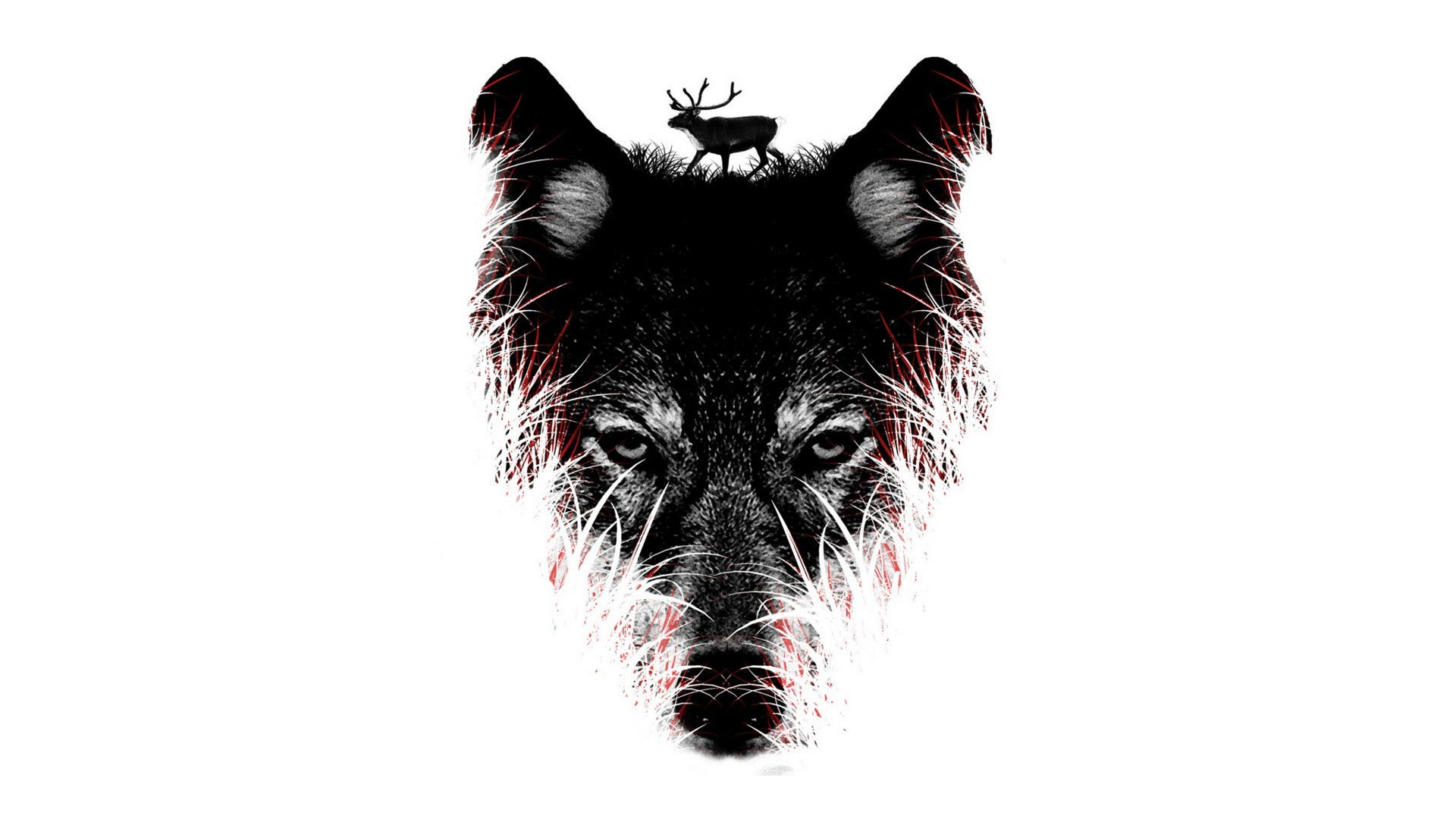 Wallpaper #4h3xLJMBlOZrFDOkhswd185 Wolf Art Wallpaper 79 Images