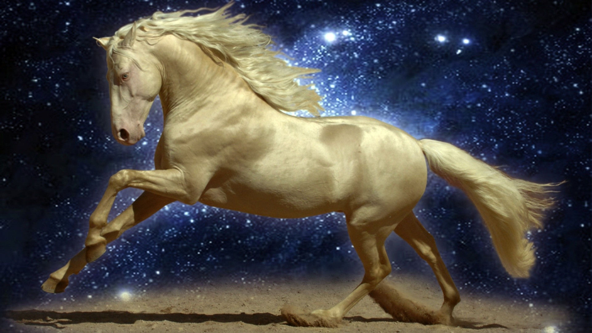 Wallpaper #Ln1h8I4Bnwiau_P6-Aaj1 Horse Screensavers and Wallpaper 50 Images