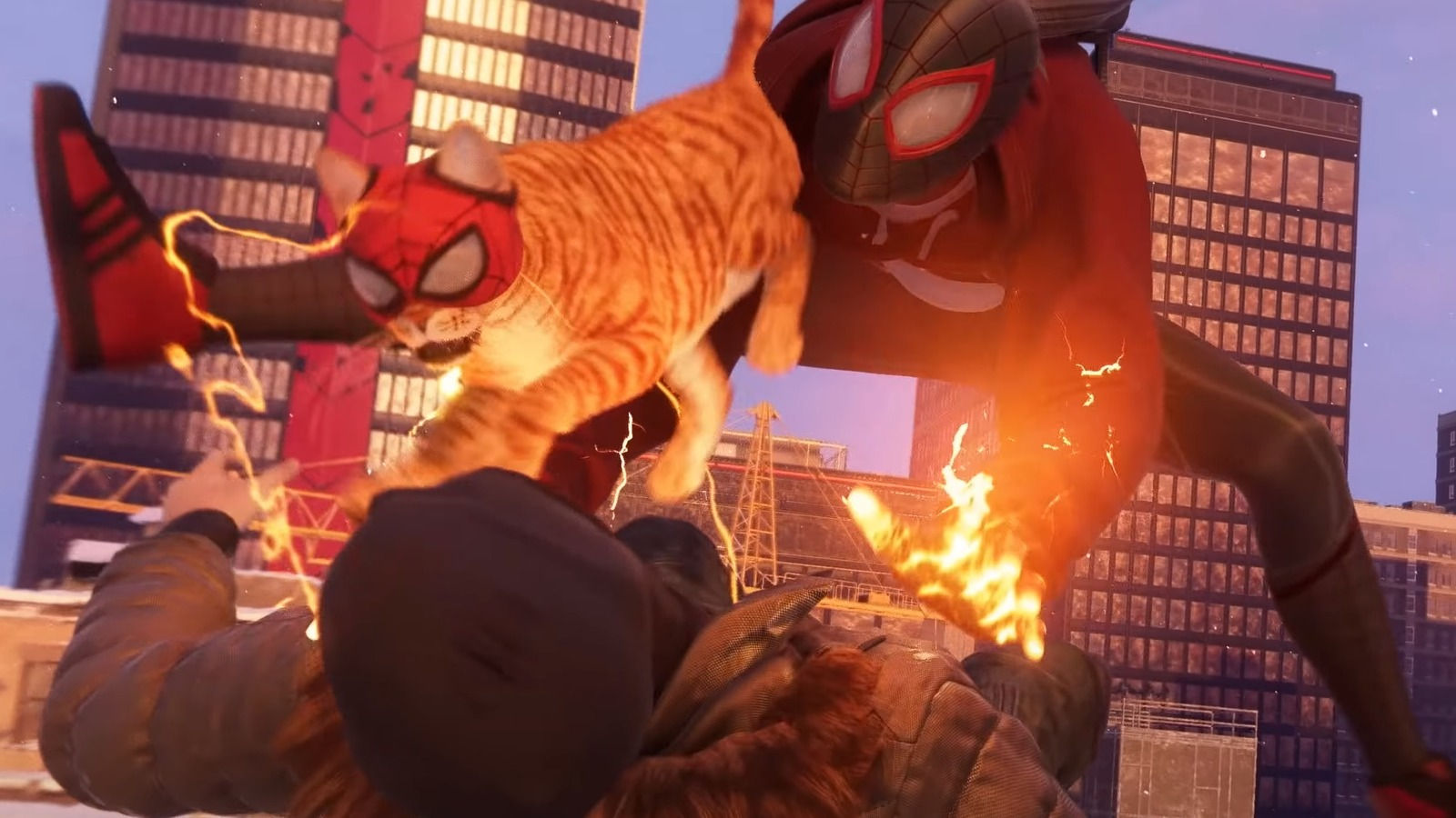 Wallpaper #82gwGpMBSpphPi3-aRrE173 The One Question We All Have About Spider Cat