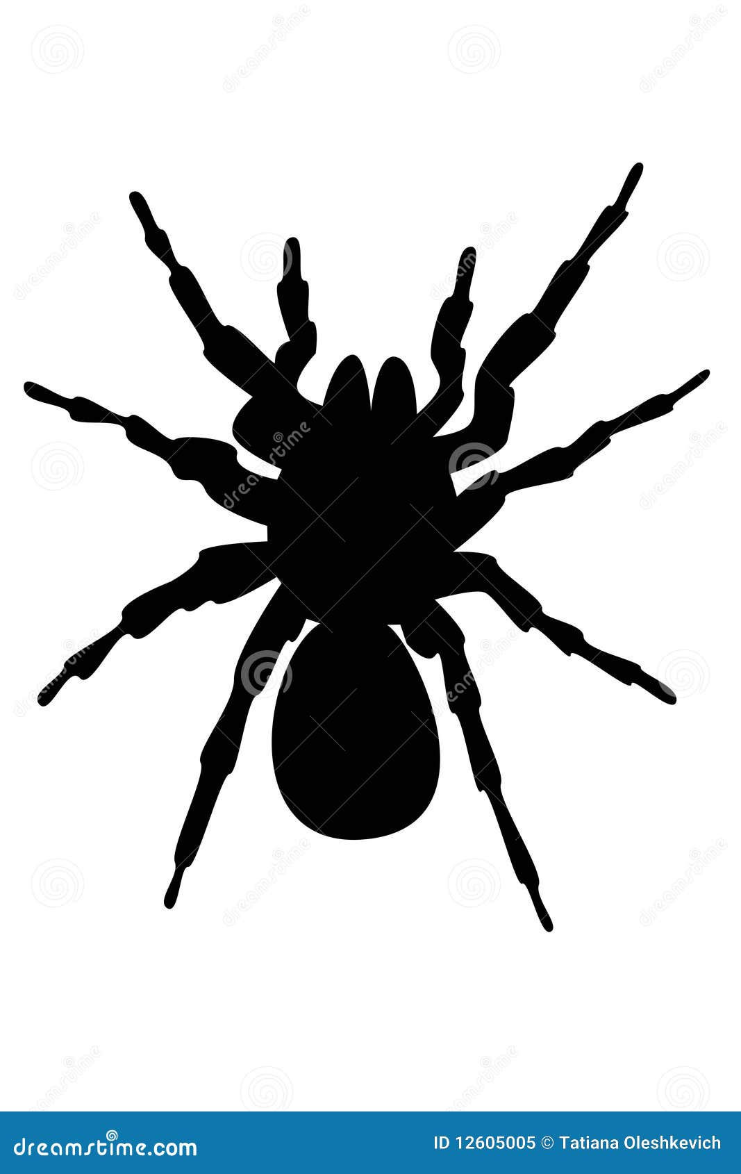Wallpaper #71bf1 Pin by Kayleigh on Spider Drawings in 2024 Spiderman Drawing