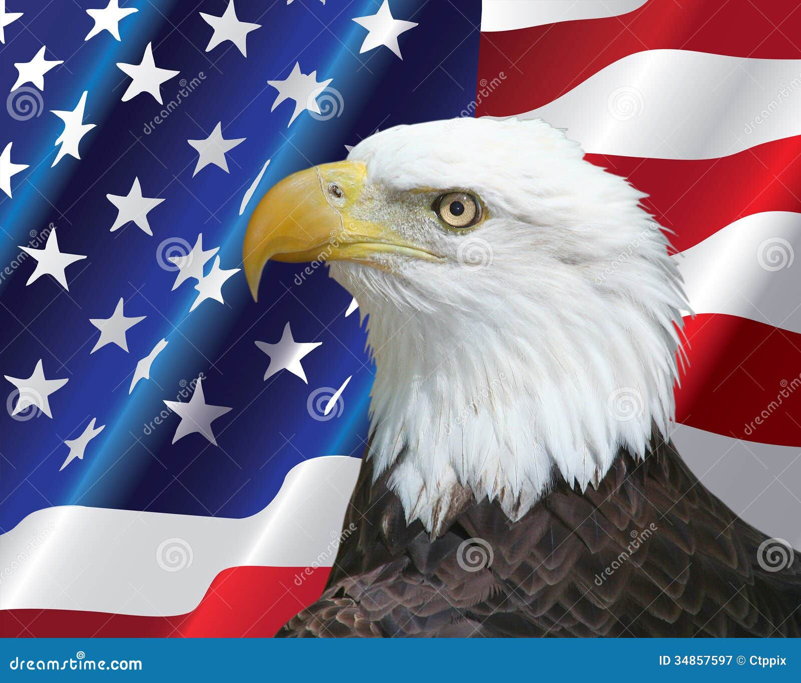 Wallpaper #6ef95 11209 Gier Eagle Images Stock Photos Vectors Shutterstock