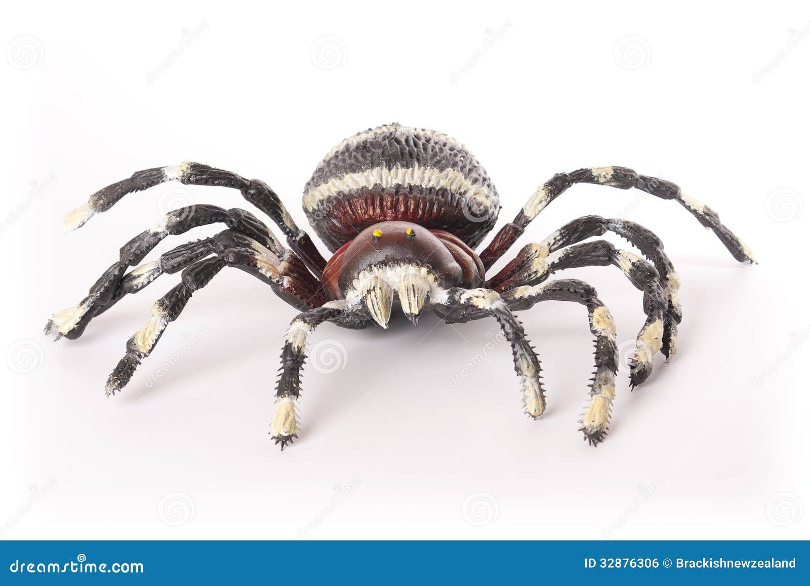 Wallpaper #-vQcOpMBKFX8bn3rt3dJ307 Toy Spider Royalty Free Stock Image Image 32876306