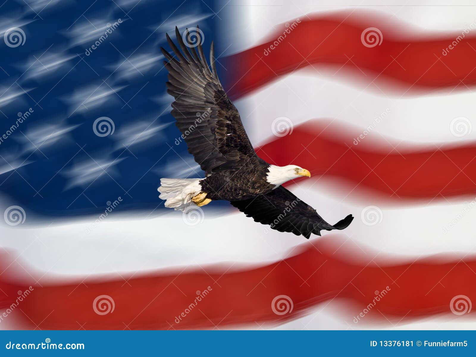 Wallpaper #6ef95 11209 Gier Eagle Images Stock Photos Vectors Shutterstock