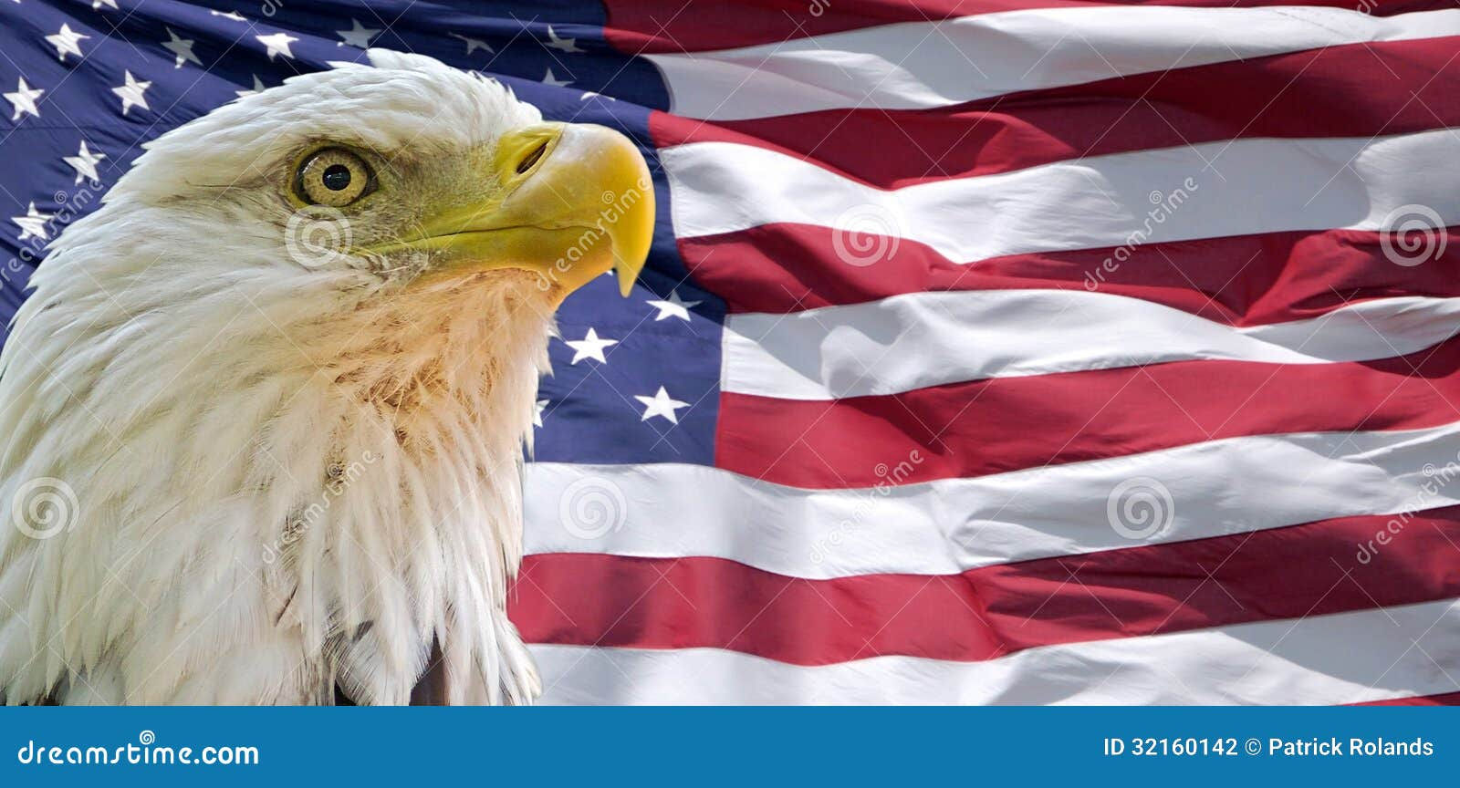 Wallpaper #6ef95 11209 Gier Eagle Images Stock Photos Vectors Shutterstock