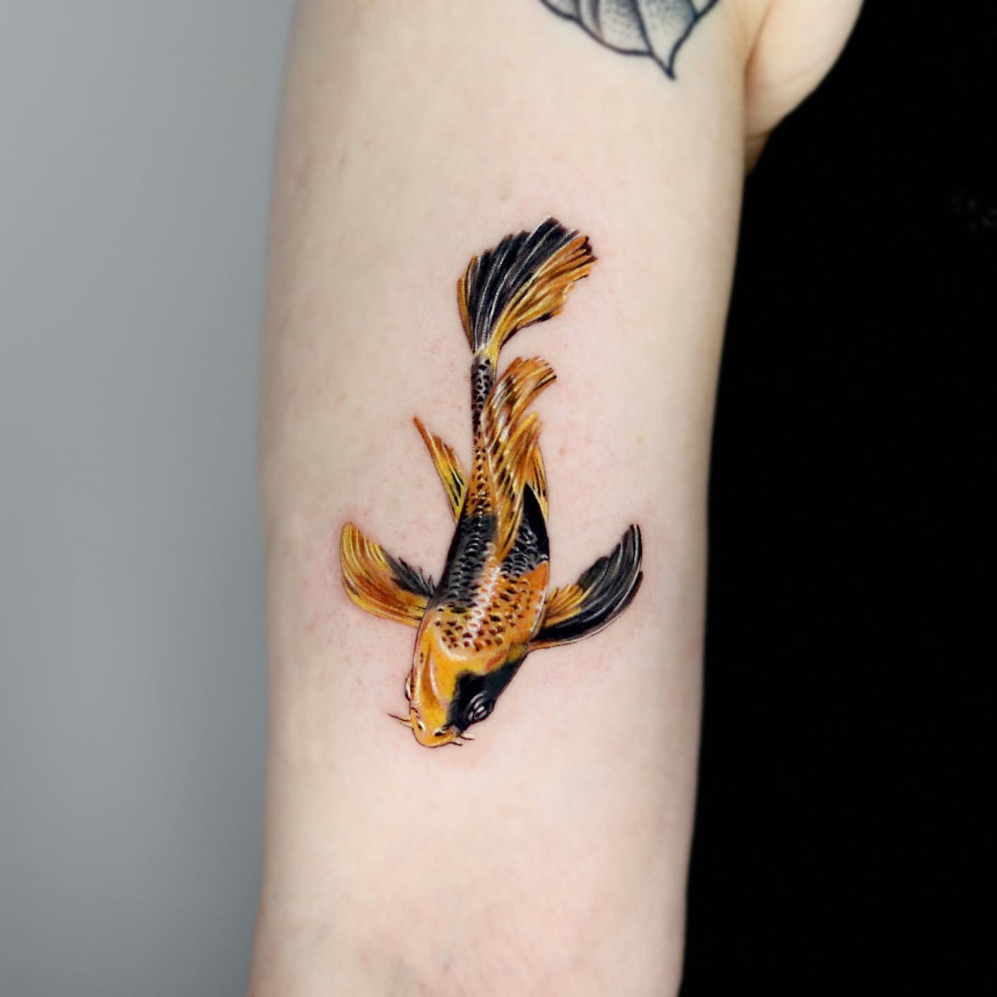 Wallpaper #4177e Half Sleeve Koi Fish Tattoo Chronic Ink