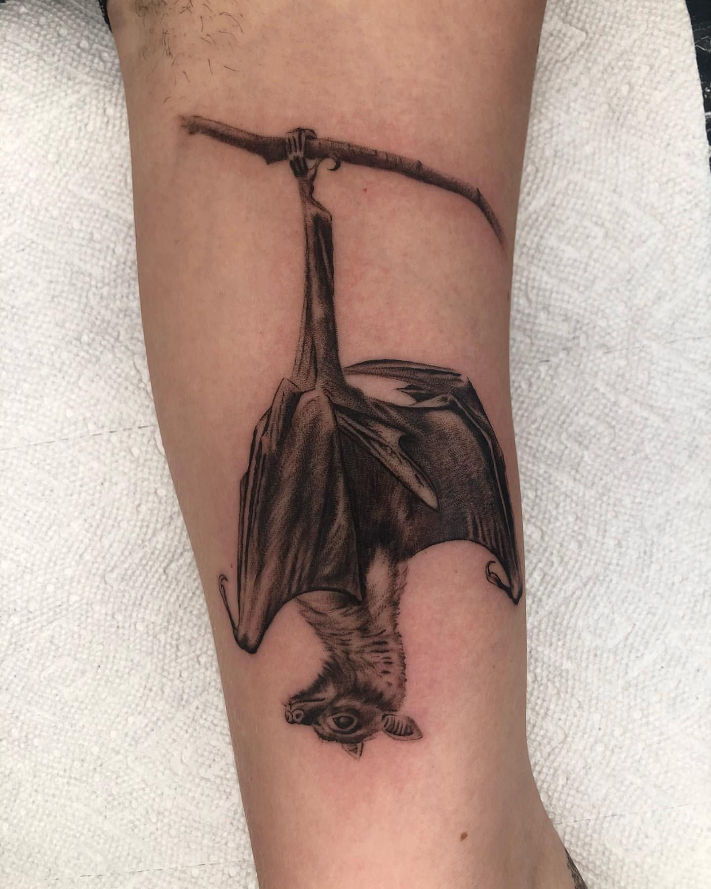 Wallpaper #R4uWdZcBcm9NJah-D3fD18 Simple Bat Tattoo Designs
