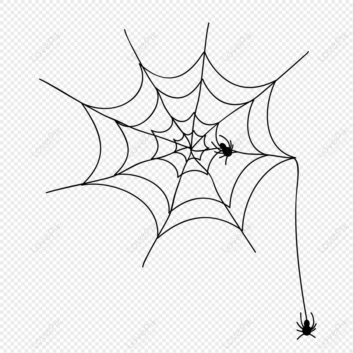 Wallpaper #n2GfLpMB3VrvfBrRMSSm116 Spider Web Black and White Horror Spider Png Transparent Background