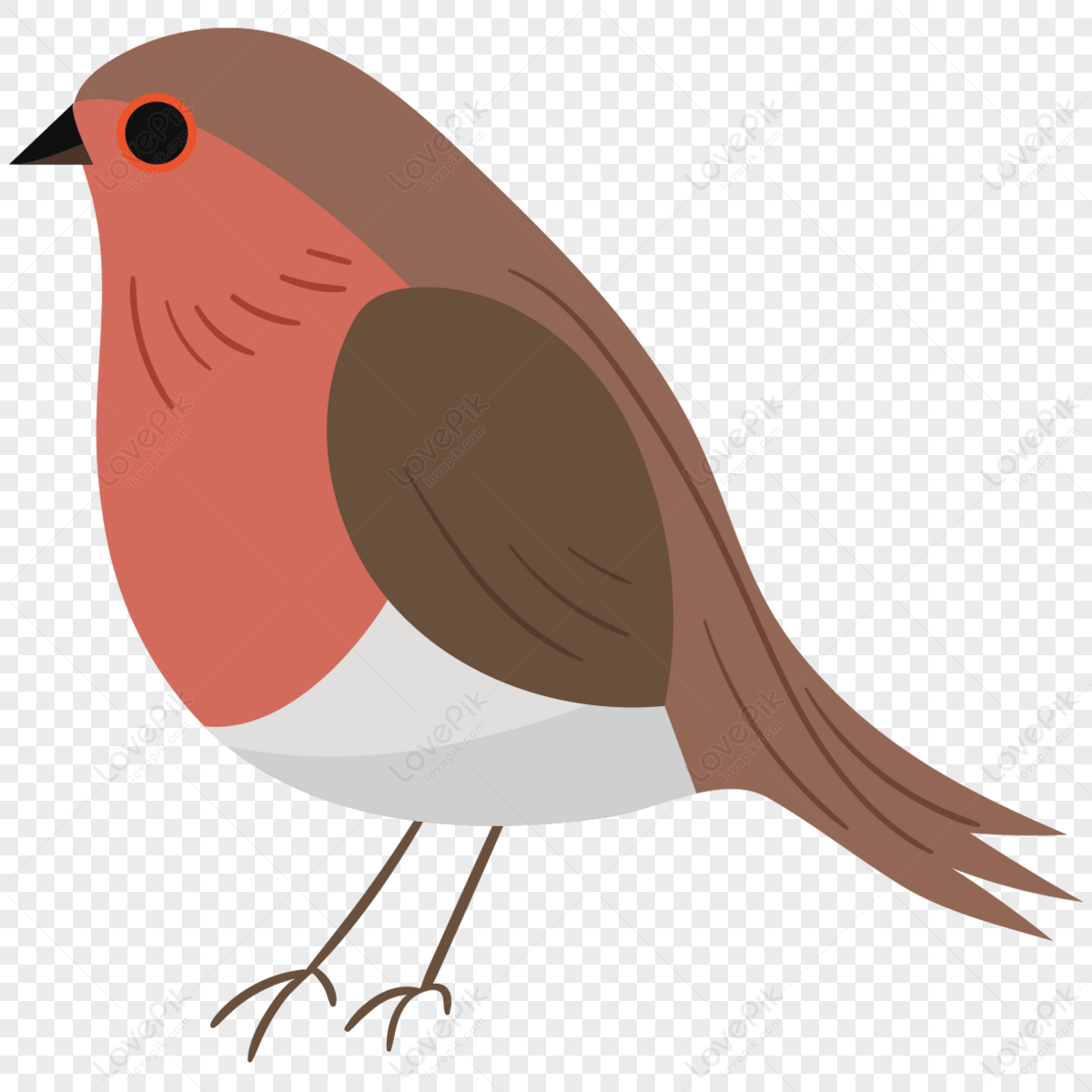 Wallpaper #afTDOpMBKFX8bn3rxXlk267 Cute Robin Clip Artorangesimplebrown Png Transparent Background and