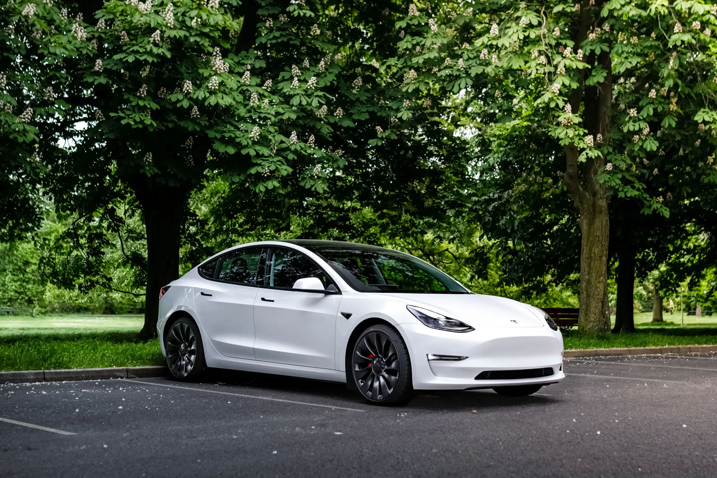 Wallpaper #-7xPO5MBMDFIMcjNIn7c25 The Best Electric Cars of 2024