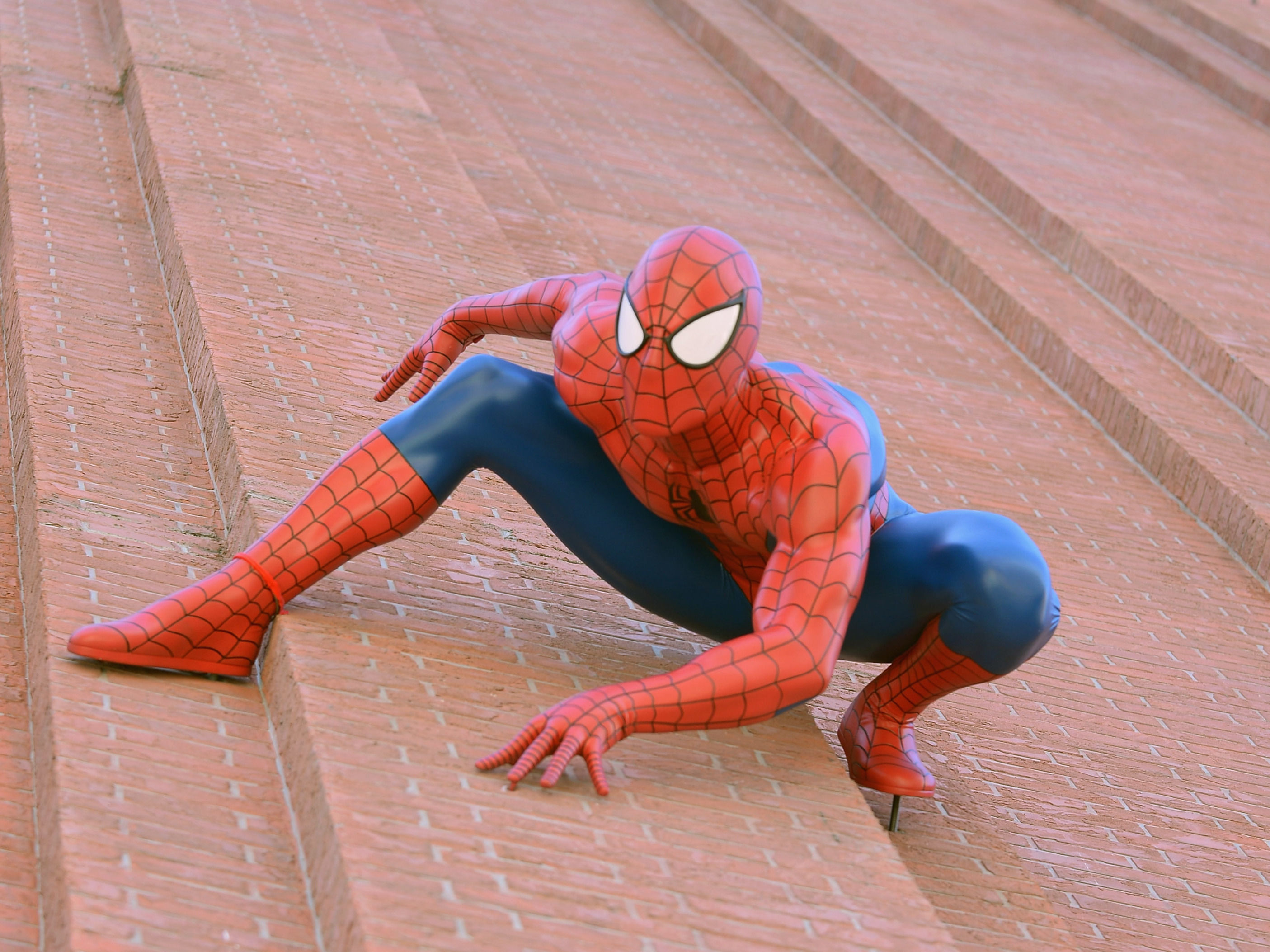 Wallpaper #H3PAho4BFI5NbQksWSCp44 Steve Ditko Comic Book Artist Who Helped Create Spider Man Dies at Age 90
