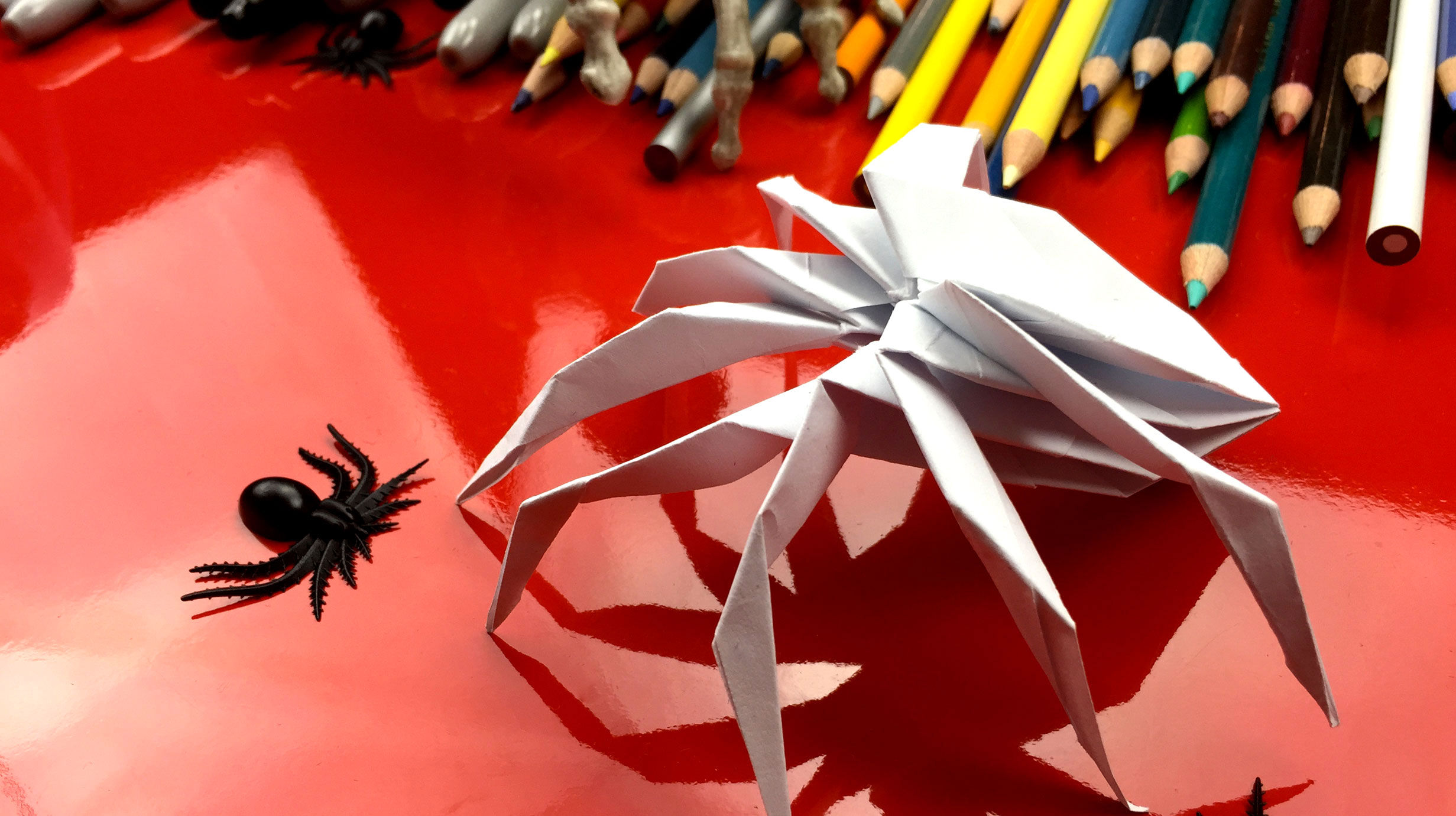 Wallpaper #v2hdGpMBSpphPi3-TBuD284 24 Best Picture of How to Make an Origami Spider Craftorainfo