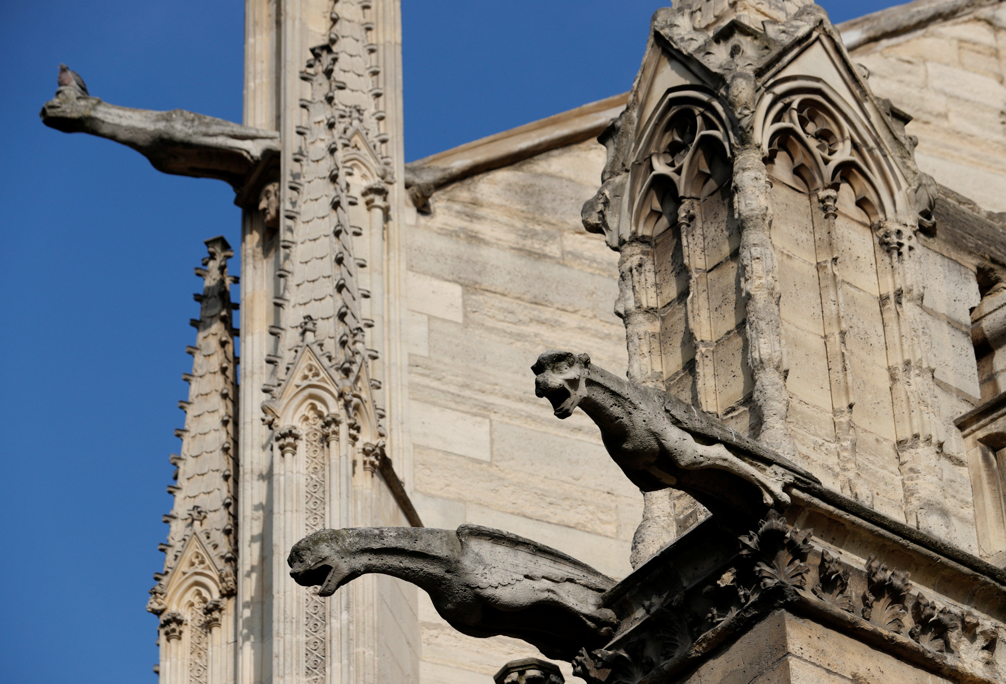 Wallpaper #s2eZ6JIBSpphPi3-Fj1x171 Notre Dames Gargoyles Crumbling Otago Daily Times Online News