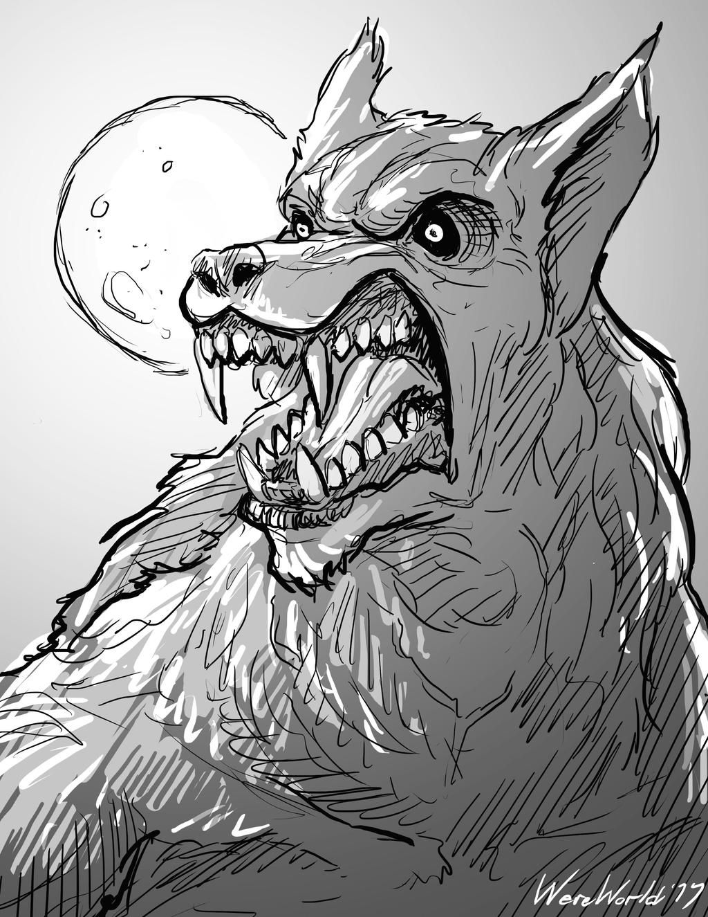 Wallpaper #uEB5MZMBJhL2WPbaucYs387 22 How to Draw Werewolf Png Shiyuyem