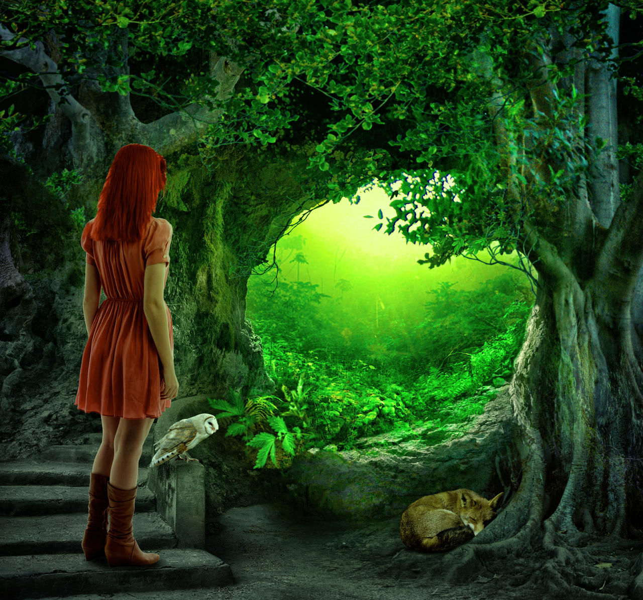 Wallpaper #r2fTEJMBSpphPi3-HPTq14 The Secret Forest by Aledjonesdigitalart on Deviantart