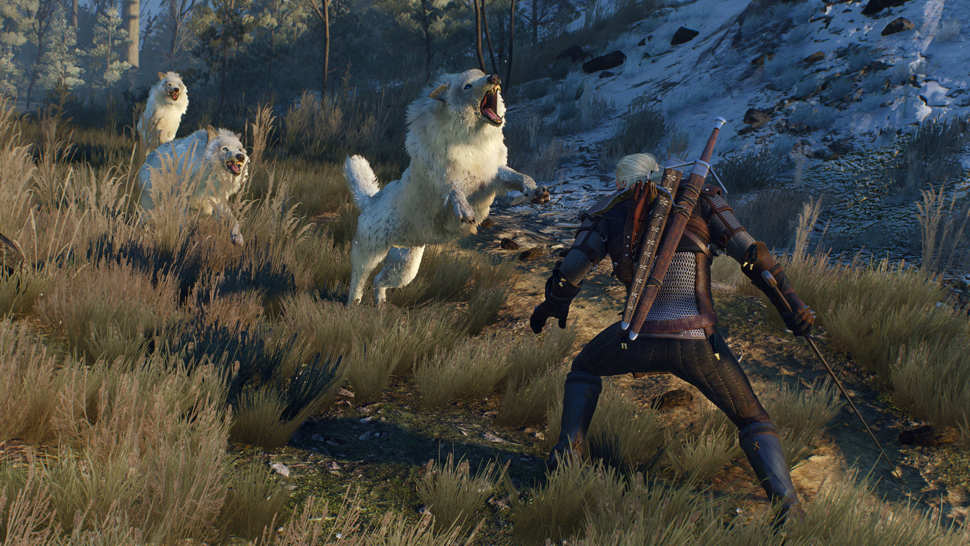Wallpaper #efFtQ5MBLX2DcmSNLoVg56 The Witcher 3 New Screenshots Captured at 4K Resolution