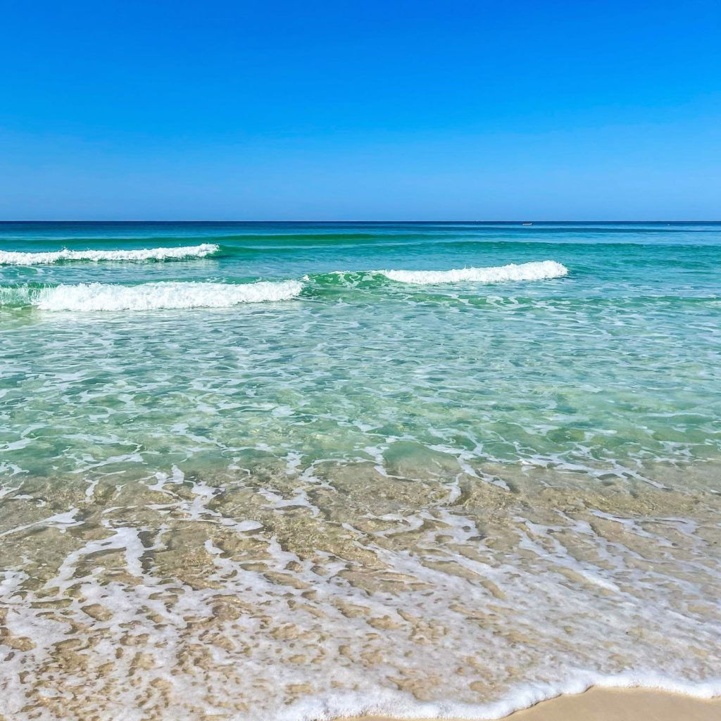 Wallpaper #Dh2rK5MBlOZrFDOkKcem473 Are Dogs Allowed on Panama City Beach