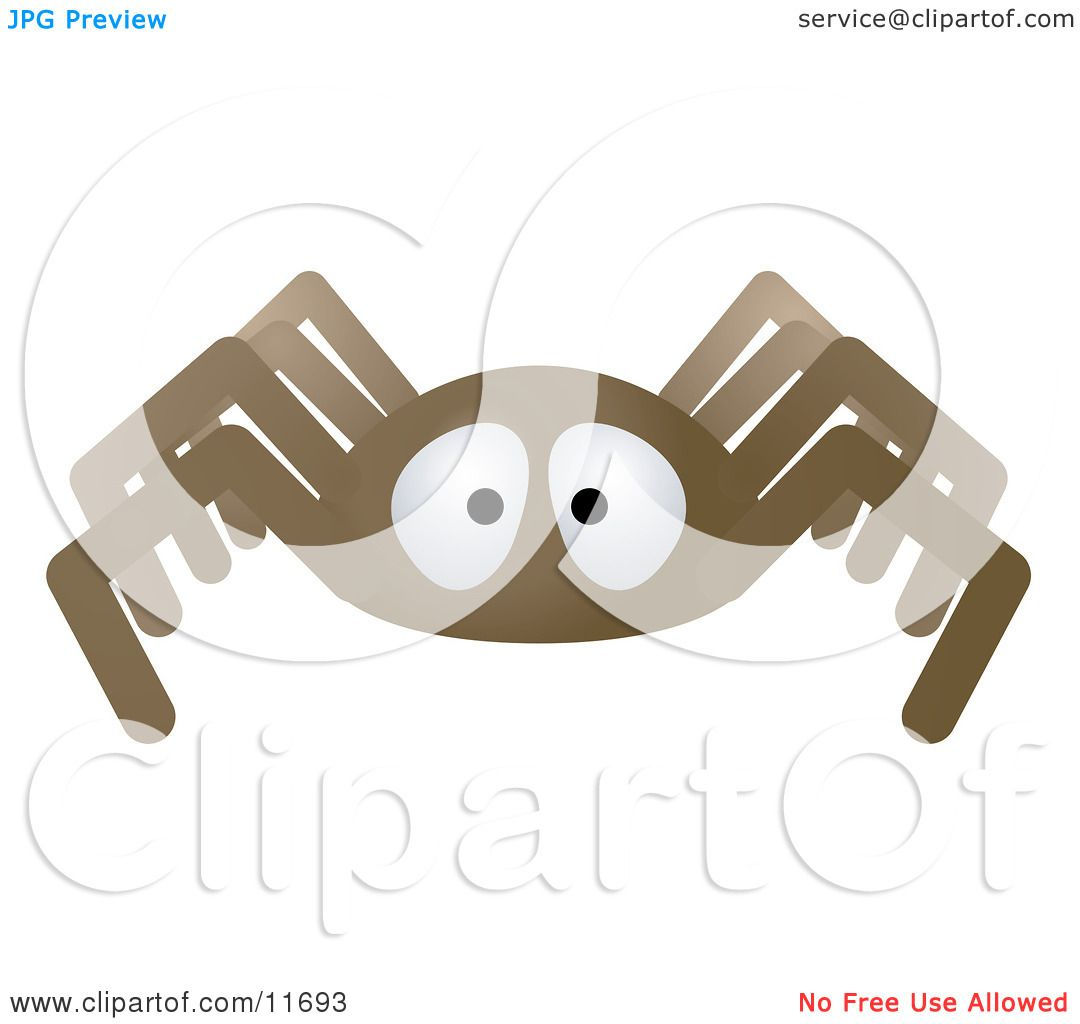 Wallpaper #46455 Brown Spider Cartoon Isolated Illustration Stock Vector Image Art Alamy