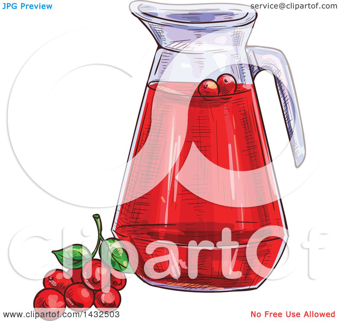 Wallpaper #3DD19 Cranberries Juice Vector 167451 Vector Art at Vecteezy