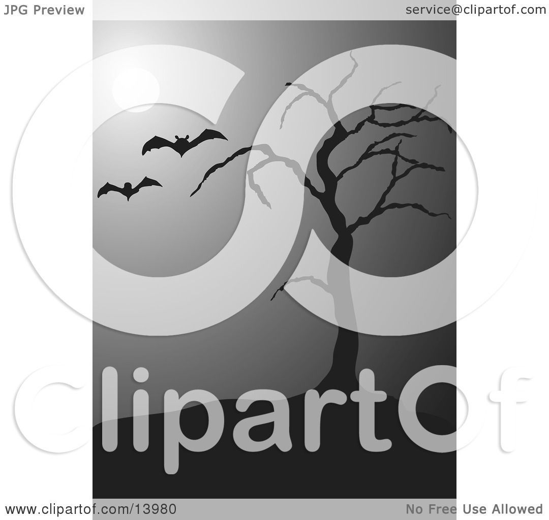 Wallpaper #r3KDMpMBX2lk1u3ogFrF218 Two Vampire Bats Flying Past a Bare Tree in the Moonlight on a Foggy