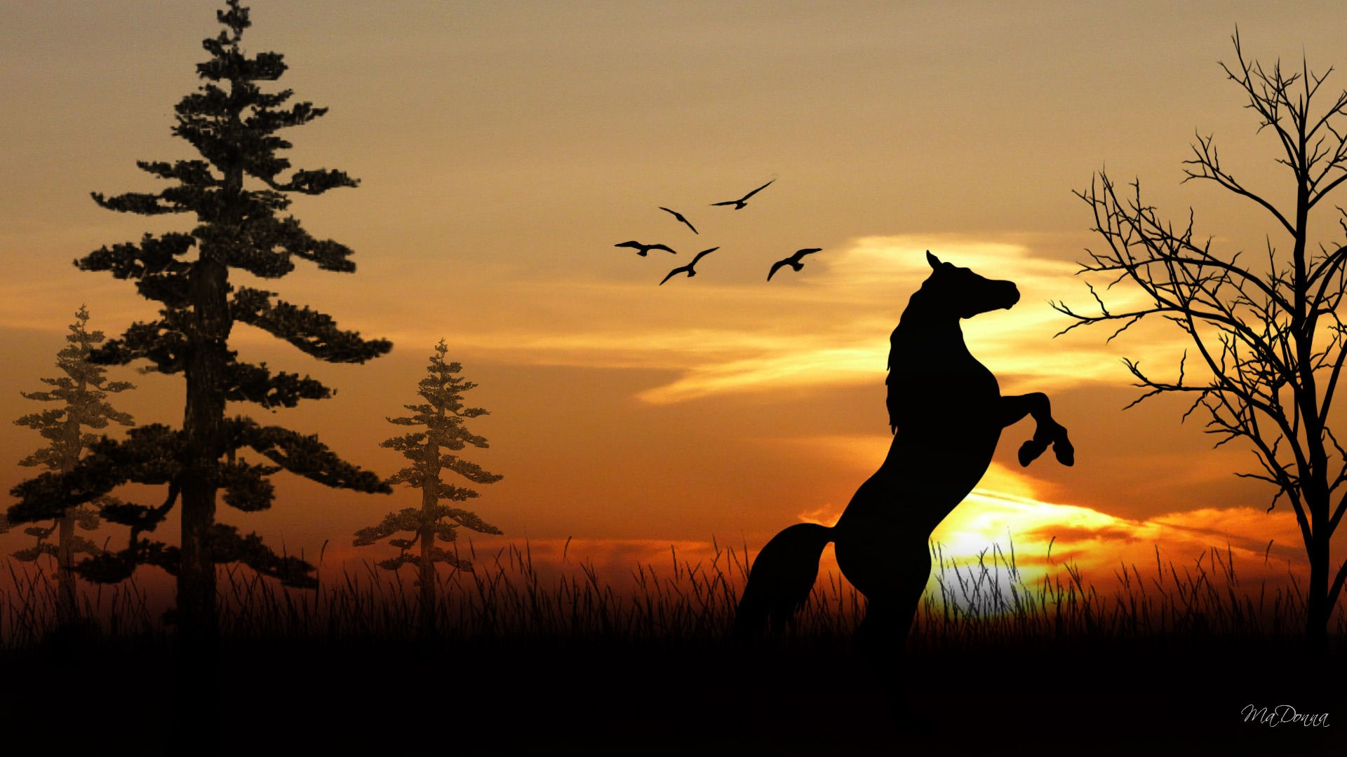 Wallpaper #9h2ULJMBlOZrFDOkbsoH71 Free HD Horse Backgrounds Desktop Pixelstalknet