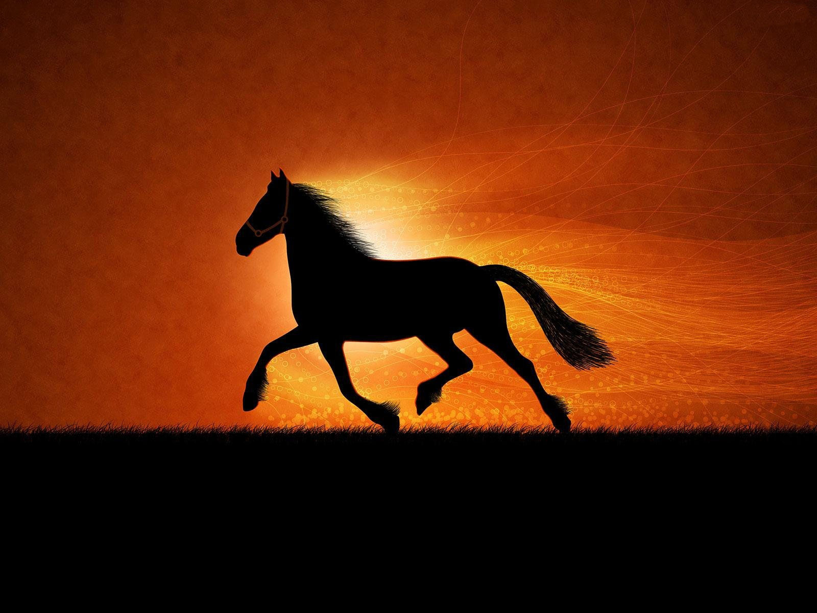Wallpaper #CR2YLJMBlOZrFDOk0ssm313 Black Horse Desktop Wallpapers Free Download