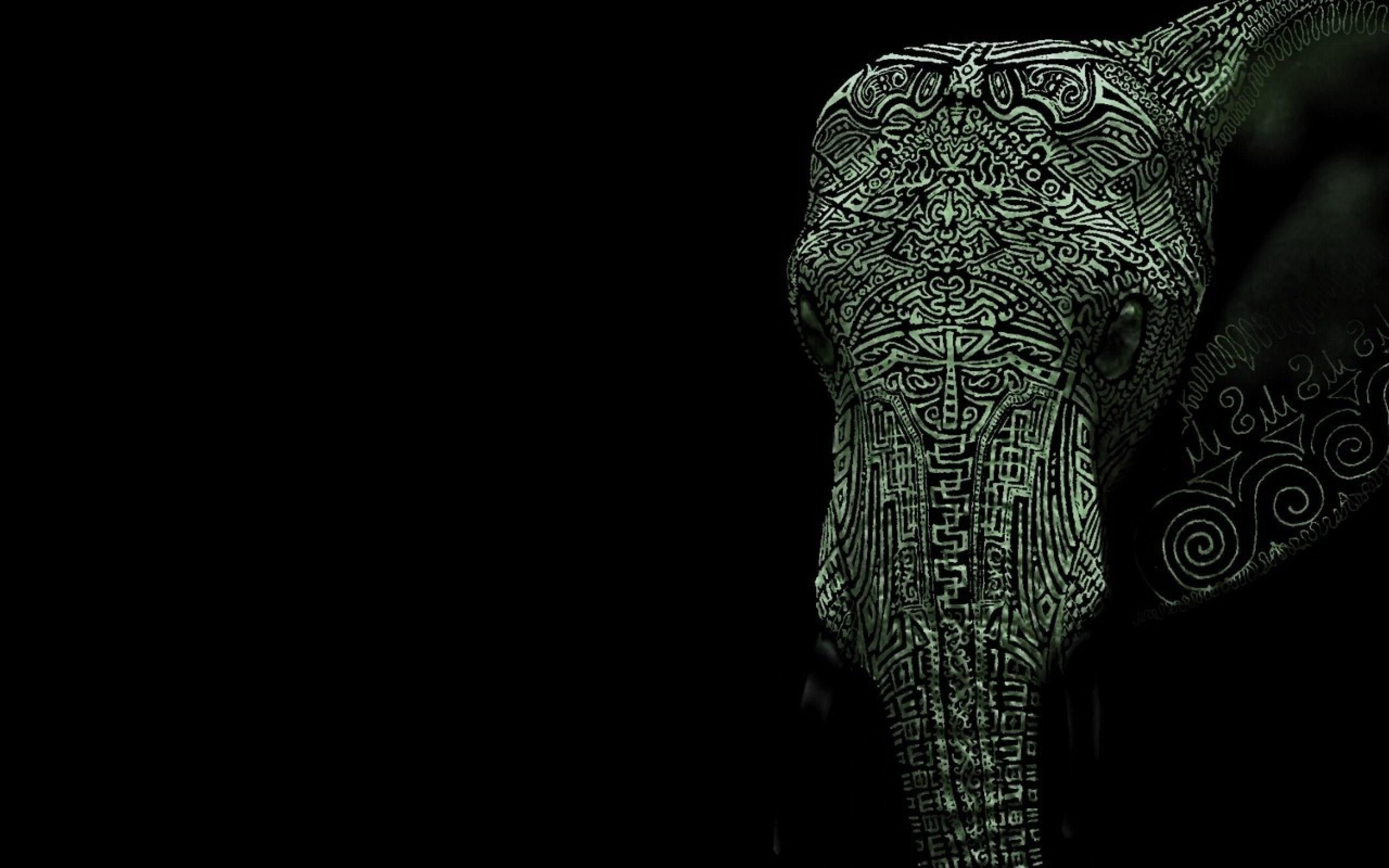 Wallpaper #sHfNJ5MB-pgBXx60h6cK383 Elephant Backgrounds Free Download