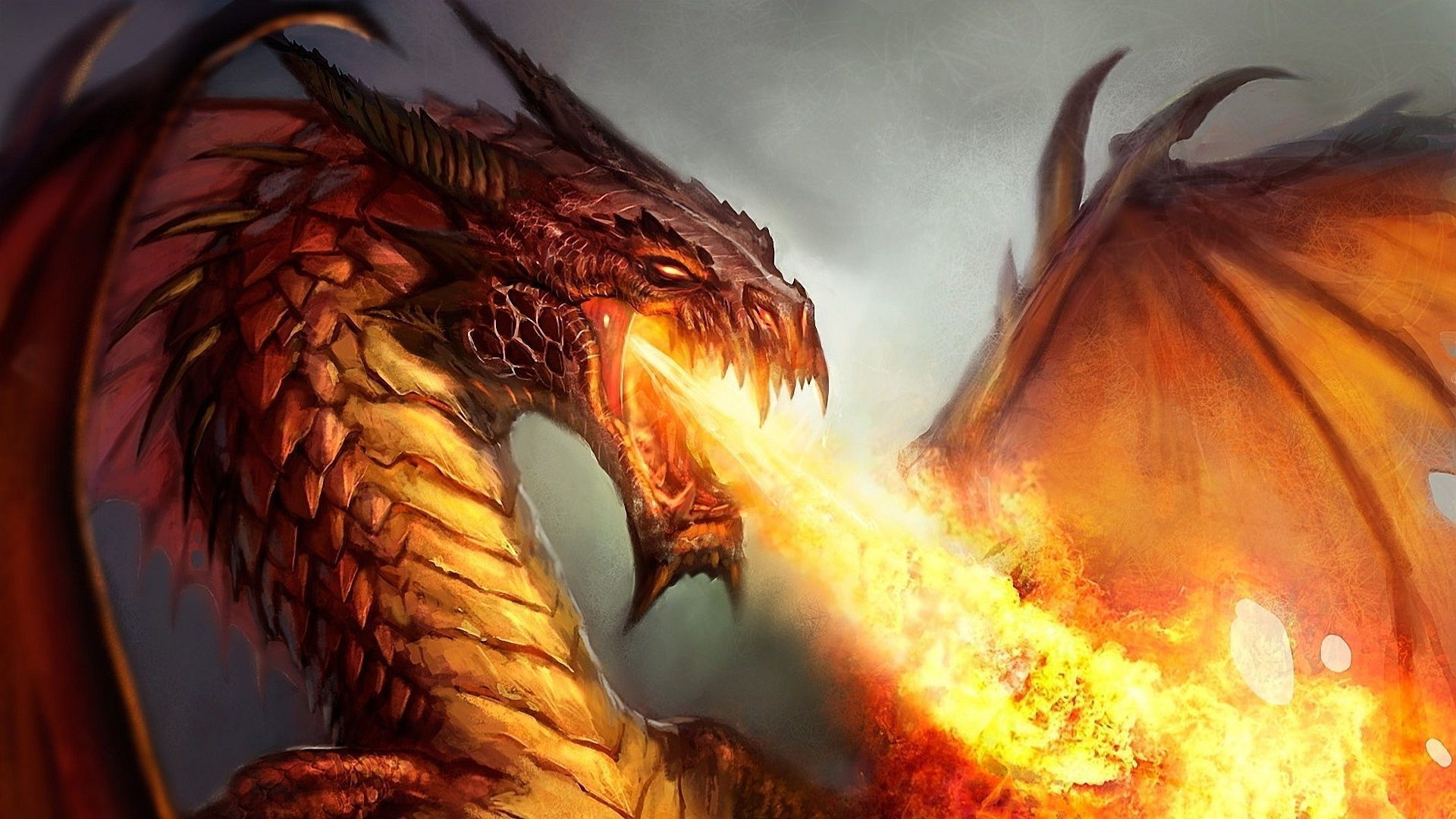 Wallpaper #63d65 Dragon HD Wallpapers 77 Images