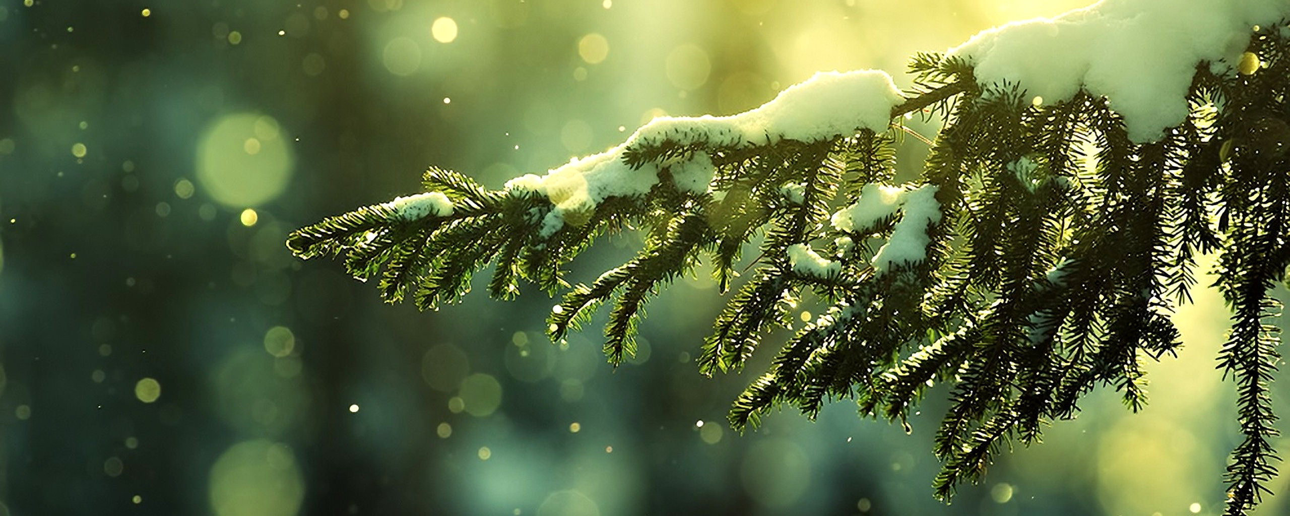 Wallpaper #5GGpLpMB3VrvfBrRvSQm194 Dual Monitor Images Free Download Pixelstalknet