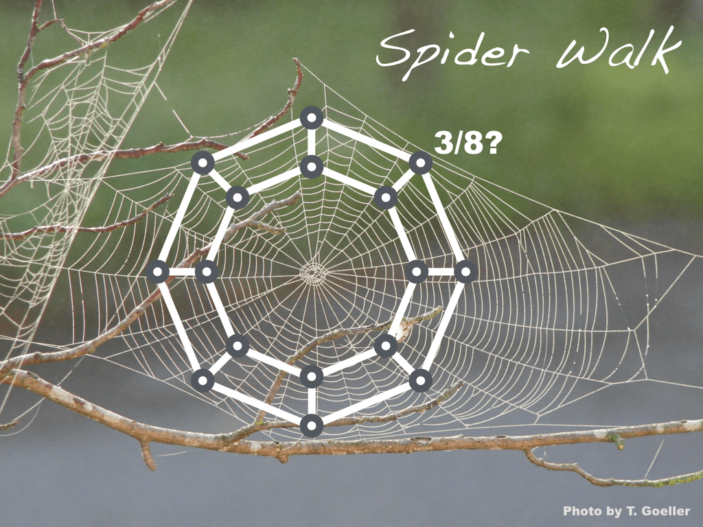 Wallpaper #mWfS_JIBSpphPi3-N5nl251 Spider Walk Probability Mathpickle