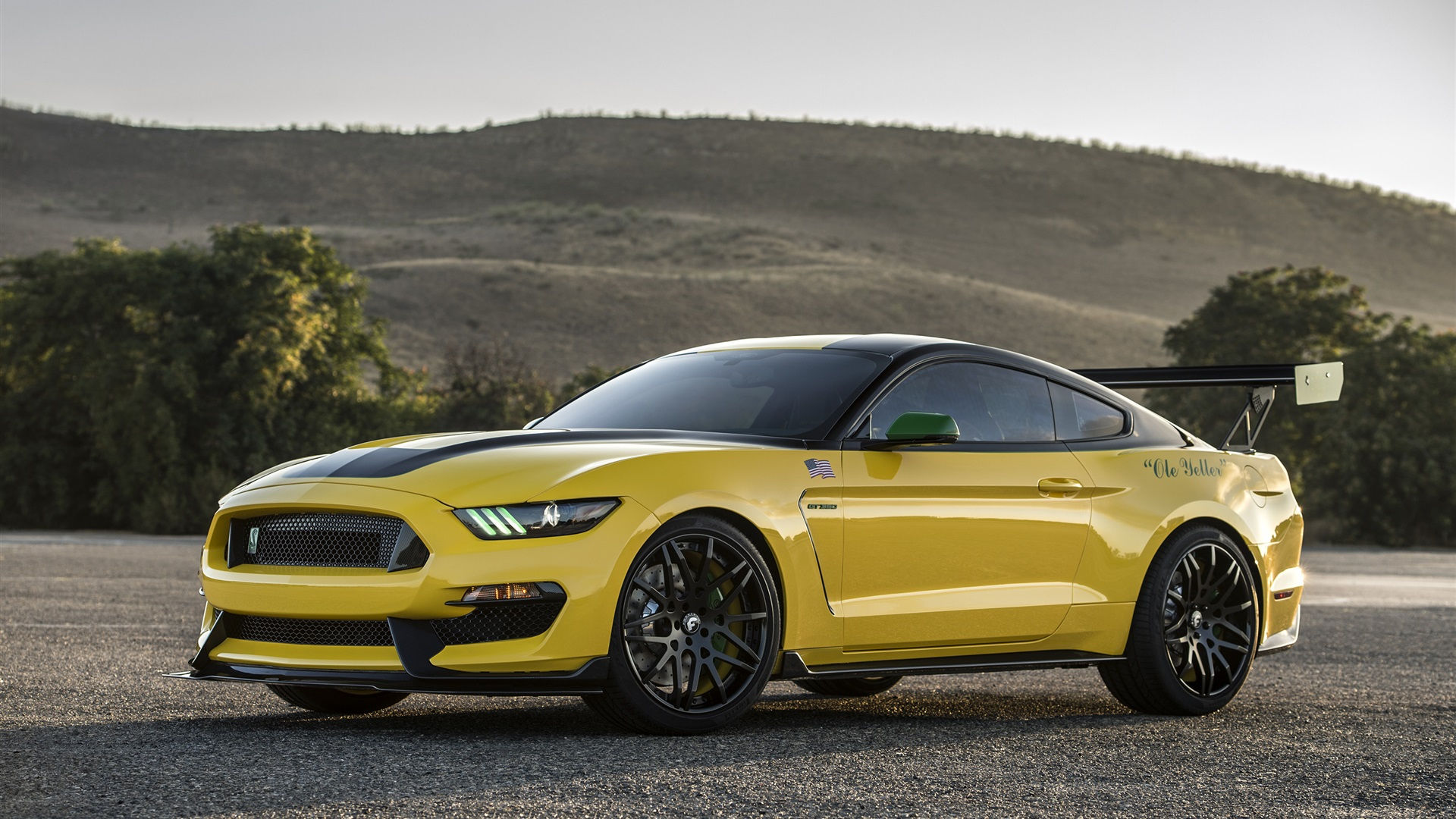Wallpaper #qnRNxY4B_8f4nGFafnCp52 Wallpaper Shelby Ford Mustang GT350 Yellow Car 2880x1800 HD Picture Image