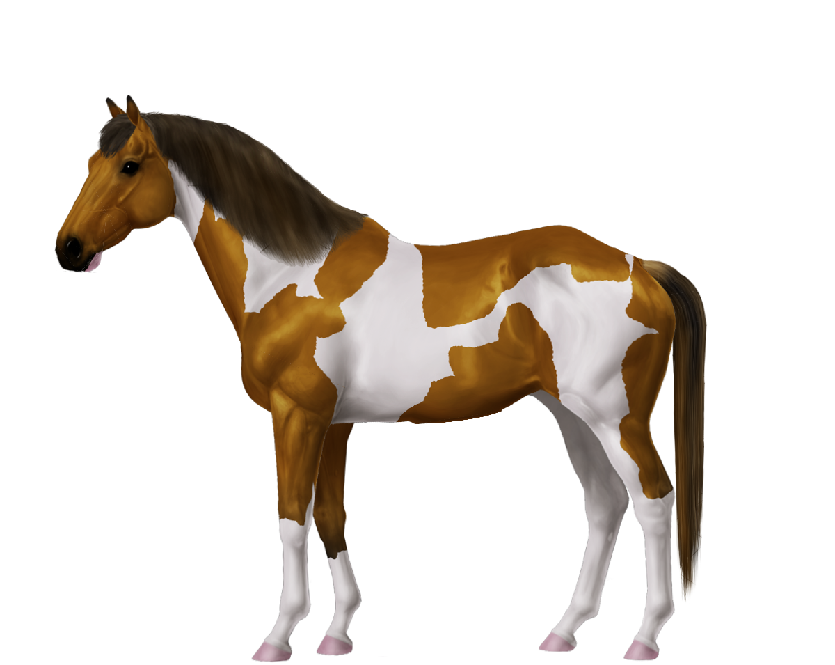 Wallpaper #8h2ULJMBlOZrFDOkIMqE345 Beautiful White Horse in the World