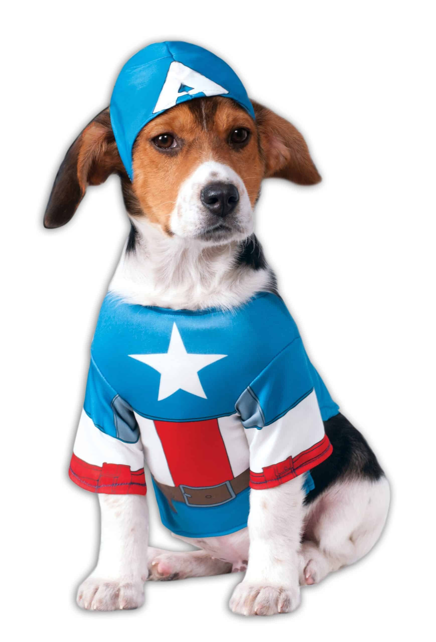 Wallpaper #pjEKNpMB5zzyi_yYC1hf238 Marvel Legends Captain America Dog Costume Marvel Superhero Costume