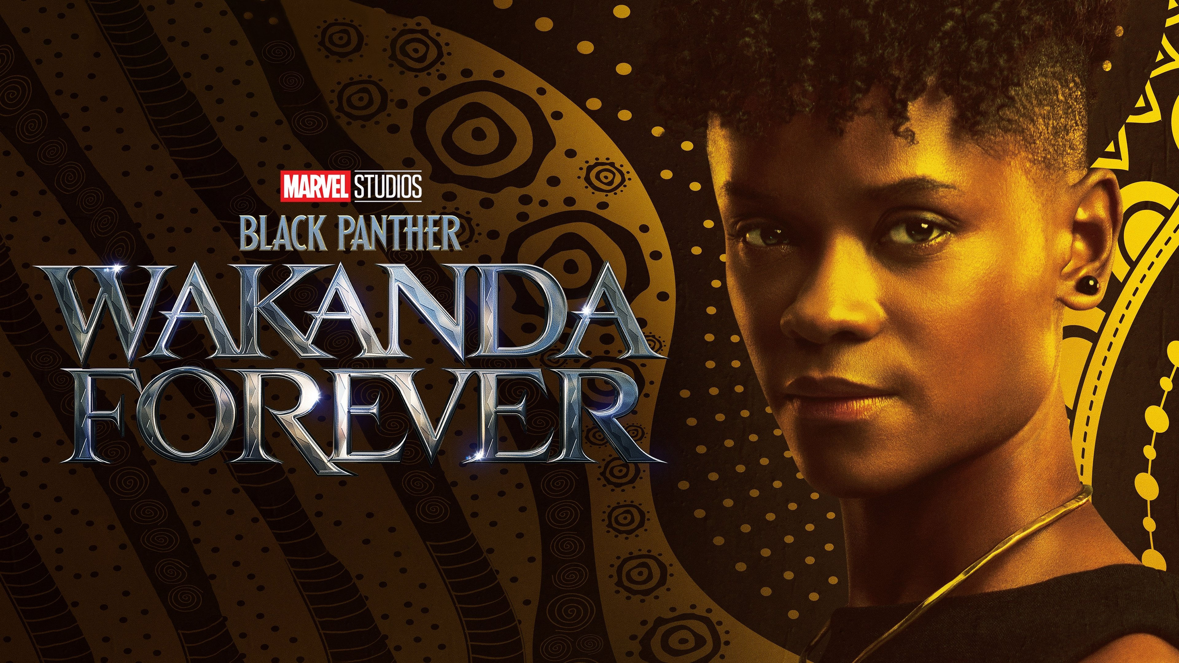 Wallpaper #6d884 The Black Panthers Vanguard of the Revolution Documentary About