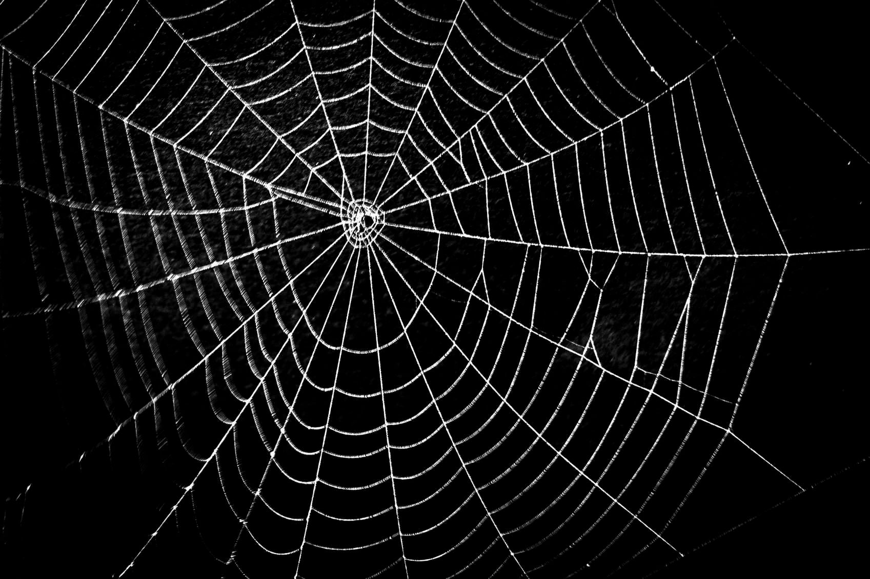 Wallpaper #mWf1-JIBSpphPi3-LItN39 Energy Australias Spiderweb Systems Problem Software Itnews
