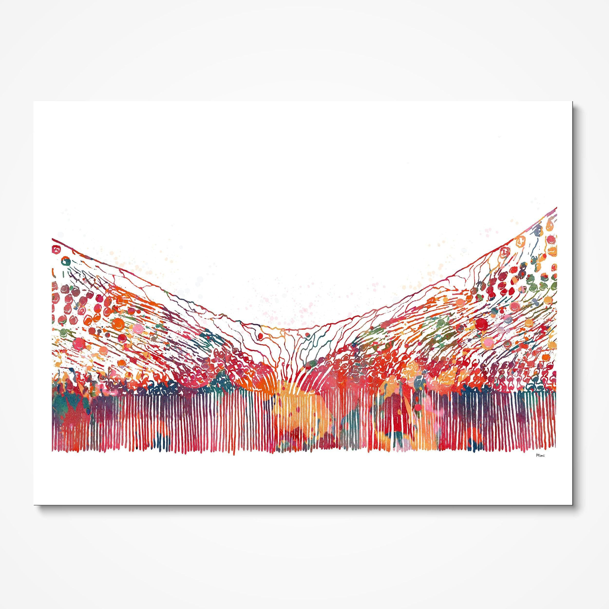 Wallpaper #WWdkEpMBSpphPi3-tvsO43 Abstract Anatomy Art