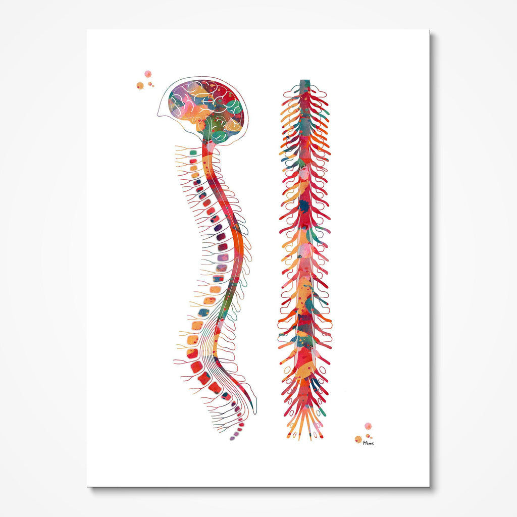 Wallpaper #WWdkEpMBSpphPi3-tvsO174 Shop Brain Art Neurology Neuroscience at Mimiprints Anatomy Art Prints