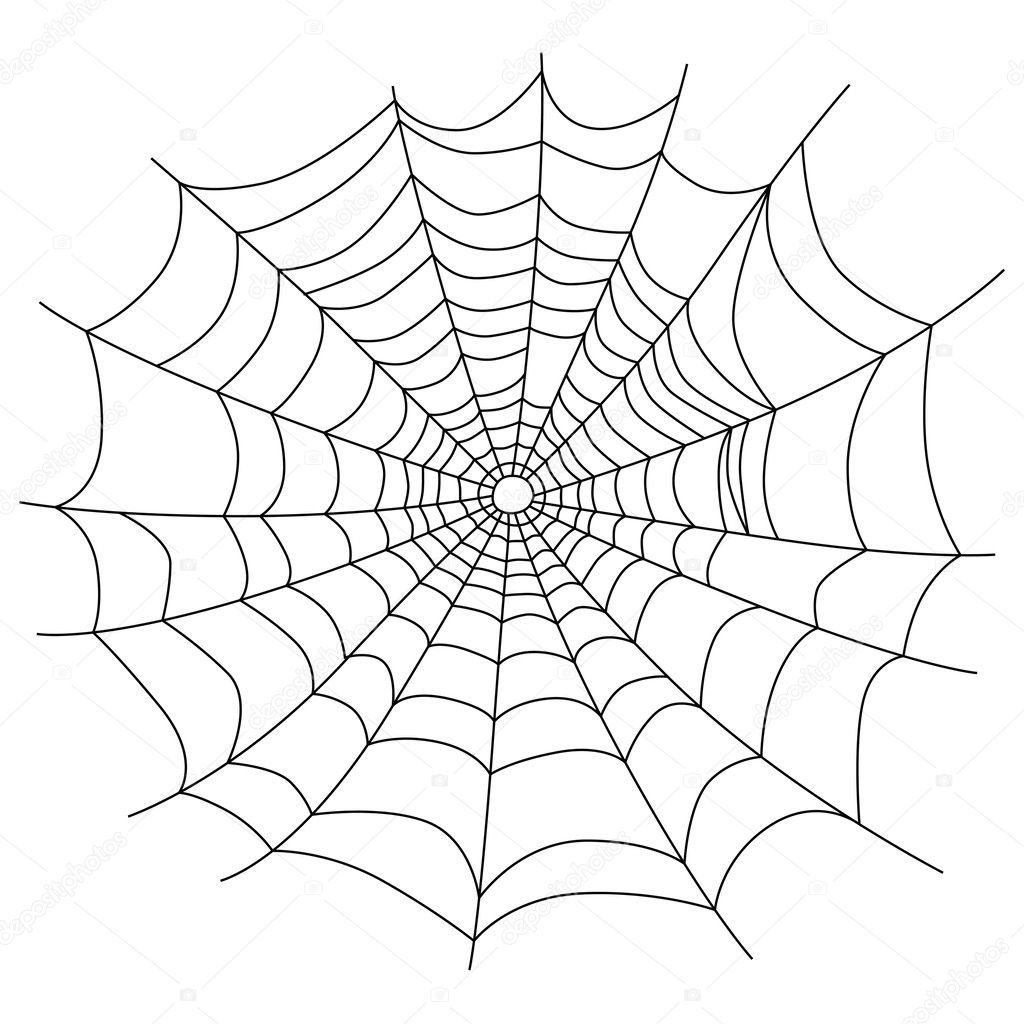 Wallpaper #cGgHF5MBSpphPi3-TQ0z276 Spider Web Isolated on White Vector Stock Vector Image by Wawritto