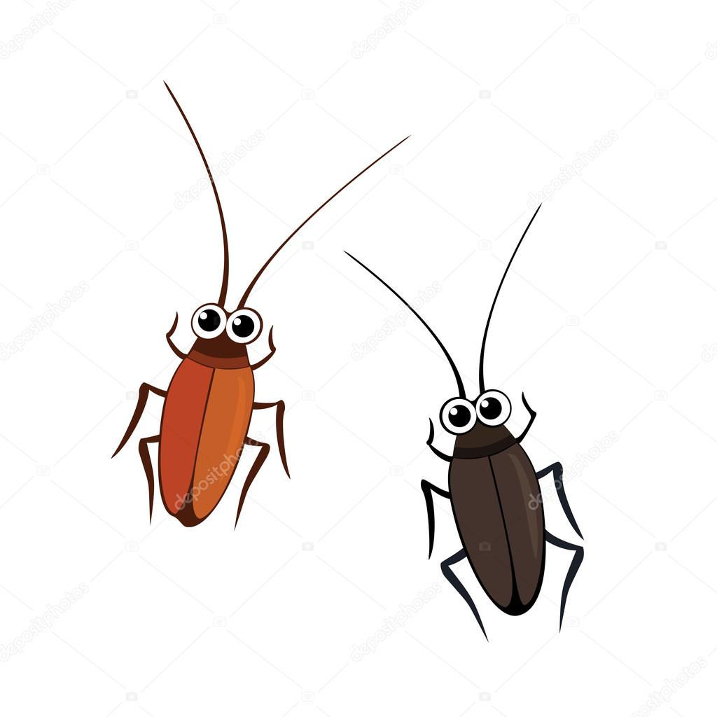 Wallpaper #SWdXCpMBSpphPi3-q9Qk259 Cockroaches Stock Vector Image by Julynx 26068589