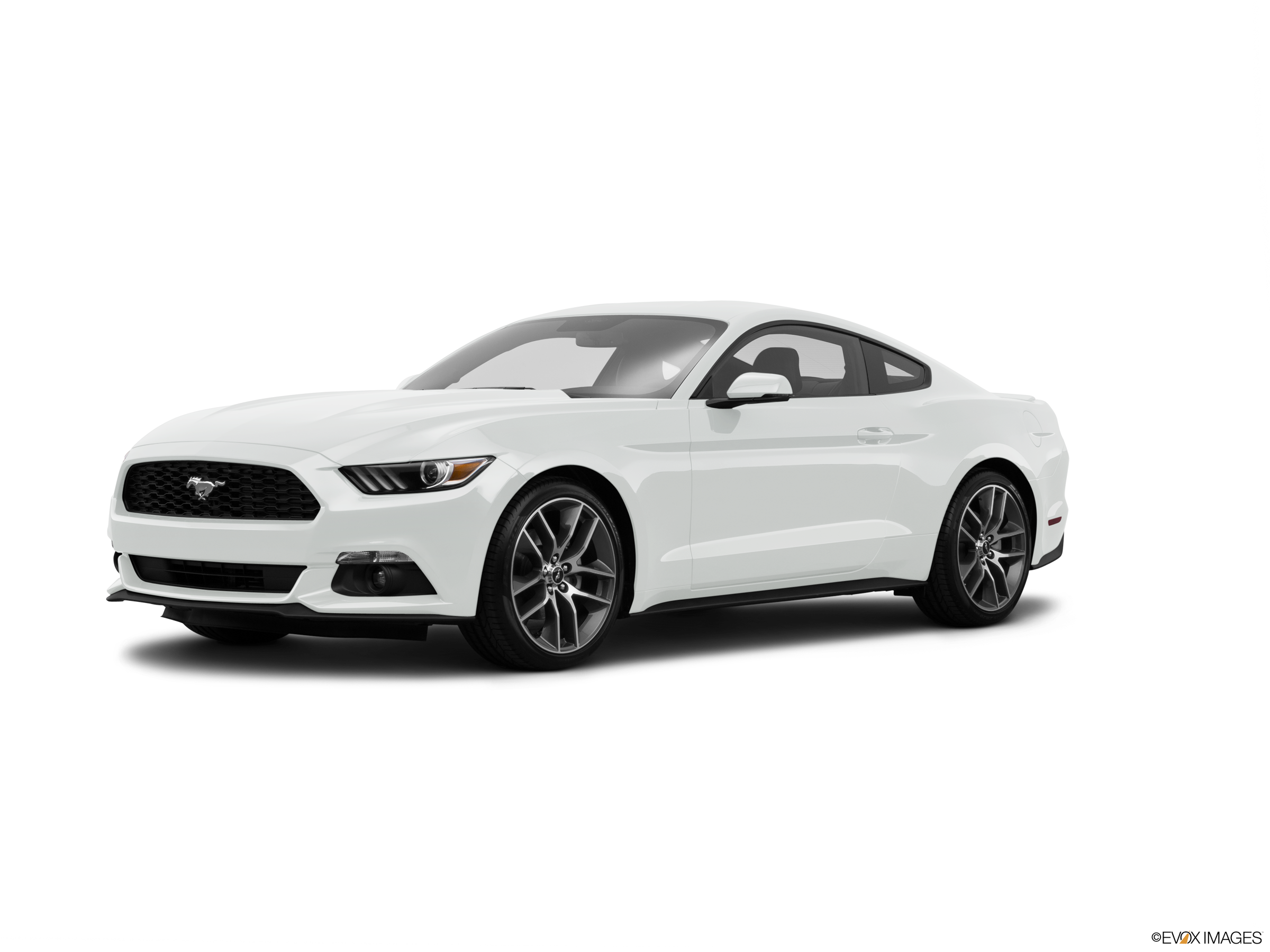 Wallpaper #SCwwSZMB0E1QgA7wuPIV308 Gen Ford Mustang V6 S550 on Sale Wwwykshocamcom