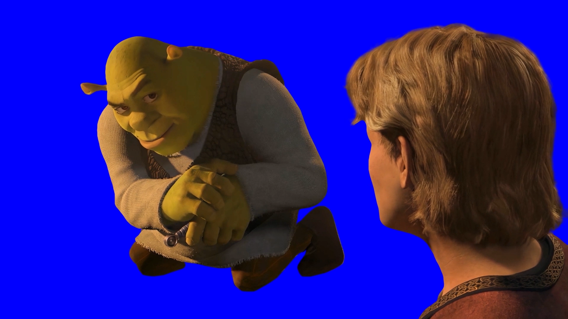 Wallpaper #11e69 Shrek Meme Templates Imgflip