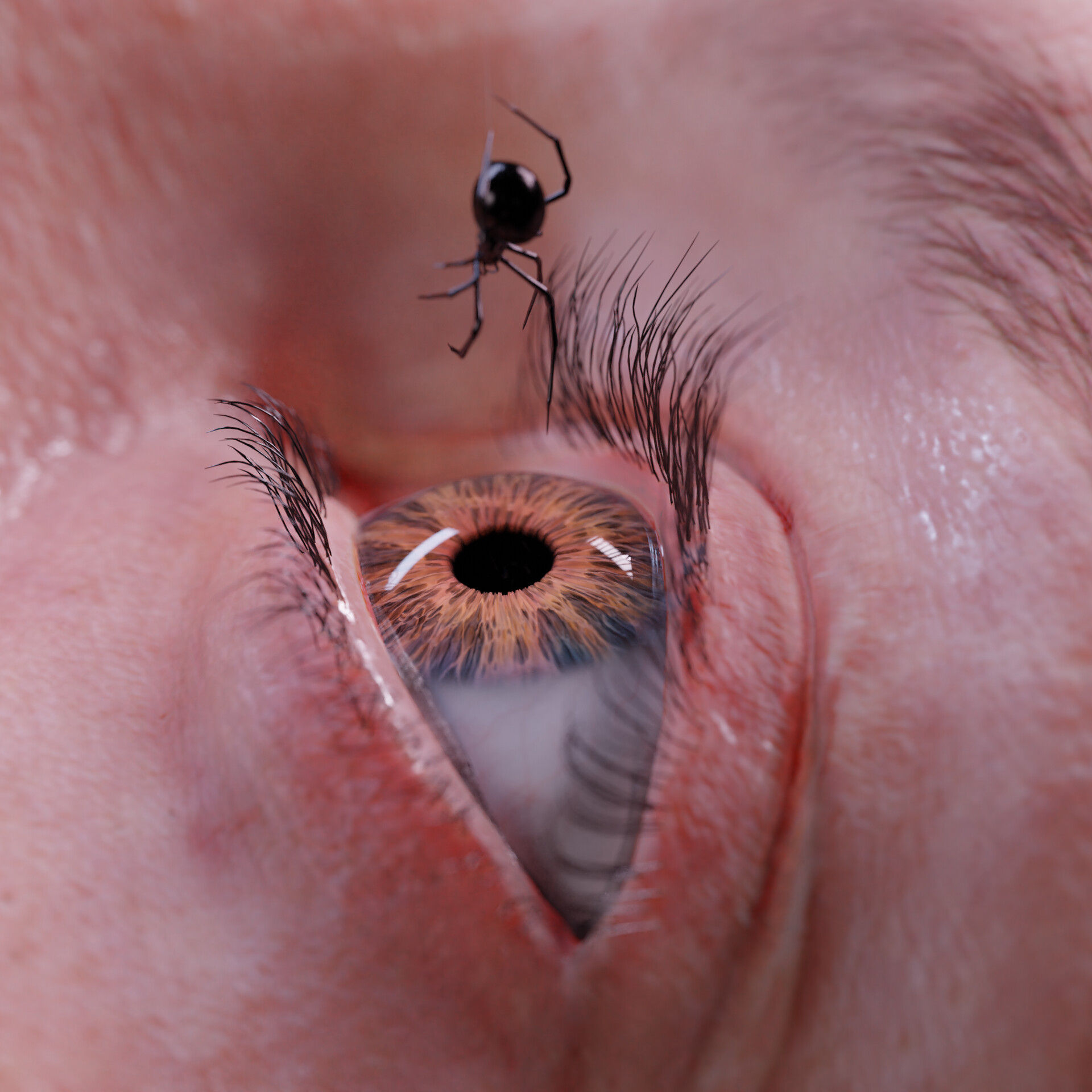 Wallpaper #P2dR65IBSpphPi3-3kuz405 Artstation Eye Spider with My Little Eye