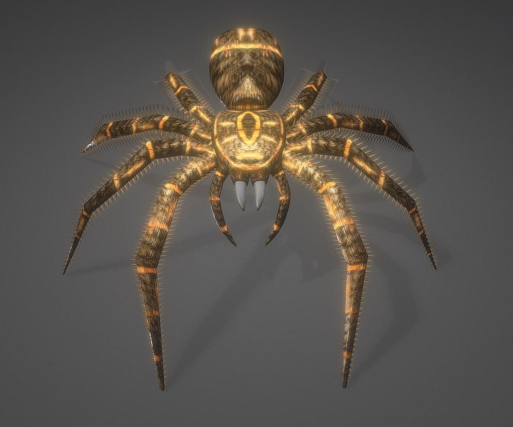 Wallpaper #R-_VS5MBMN-XEVvVKTxd1 Artstation Animated Spider