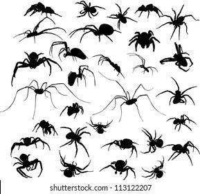 Wallpaper #71bf1 Pin by Kayleigh on Spider Drawings in 2024 Spiderman Drawing