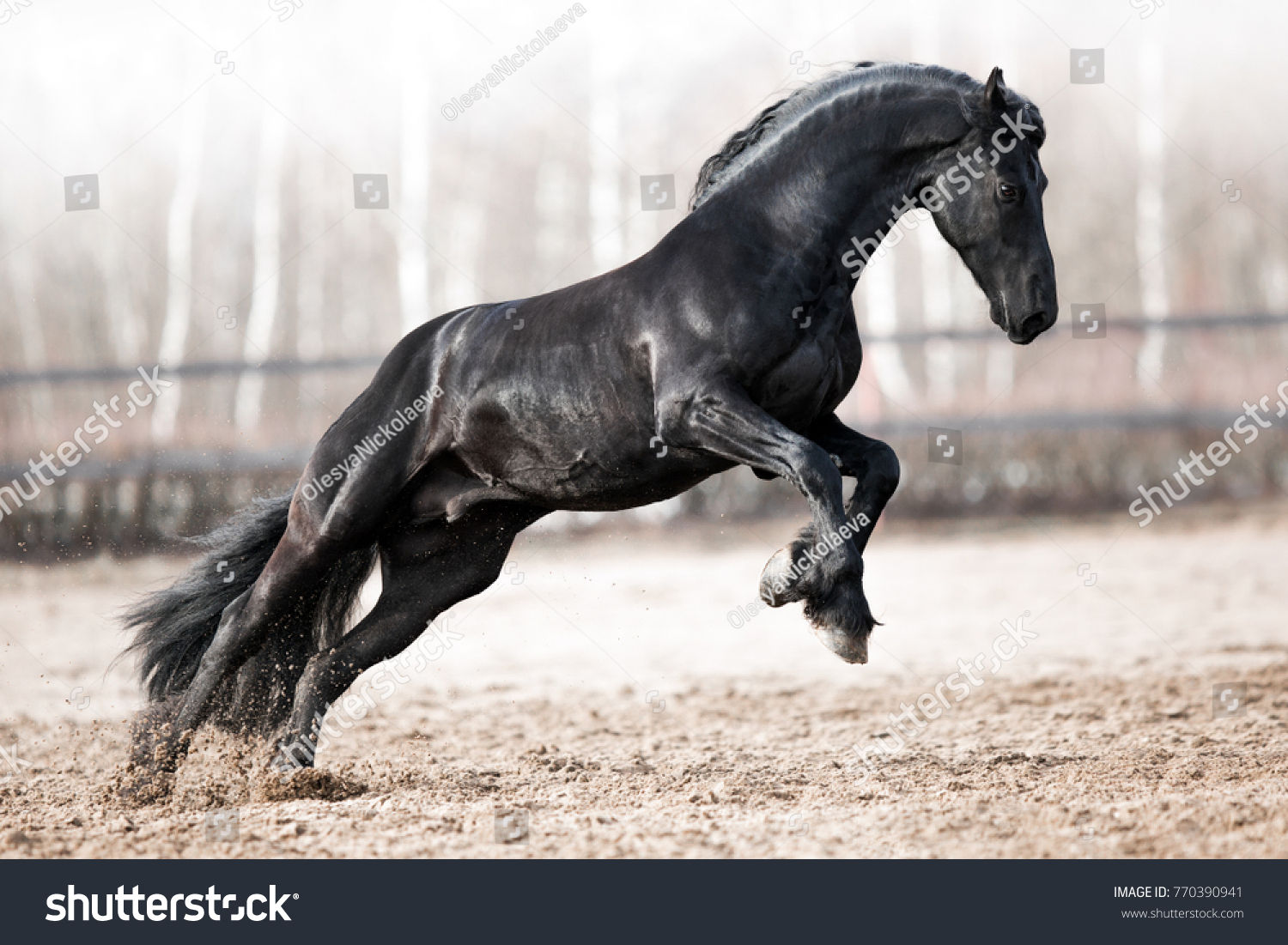Wallpaper #-2cU-ZIBSpphPi3-KovY29 Black Stallion Rearing