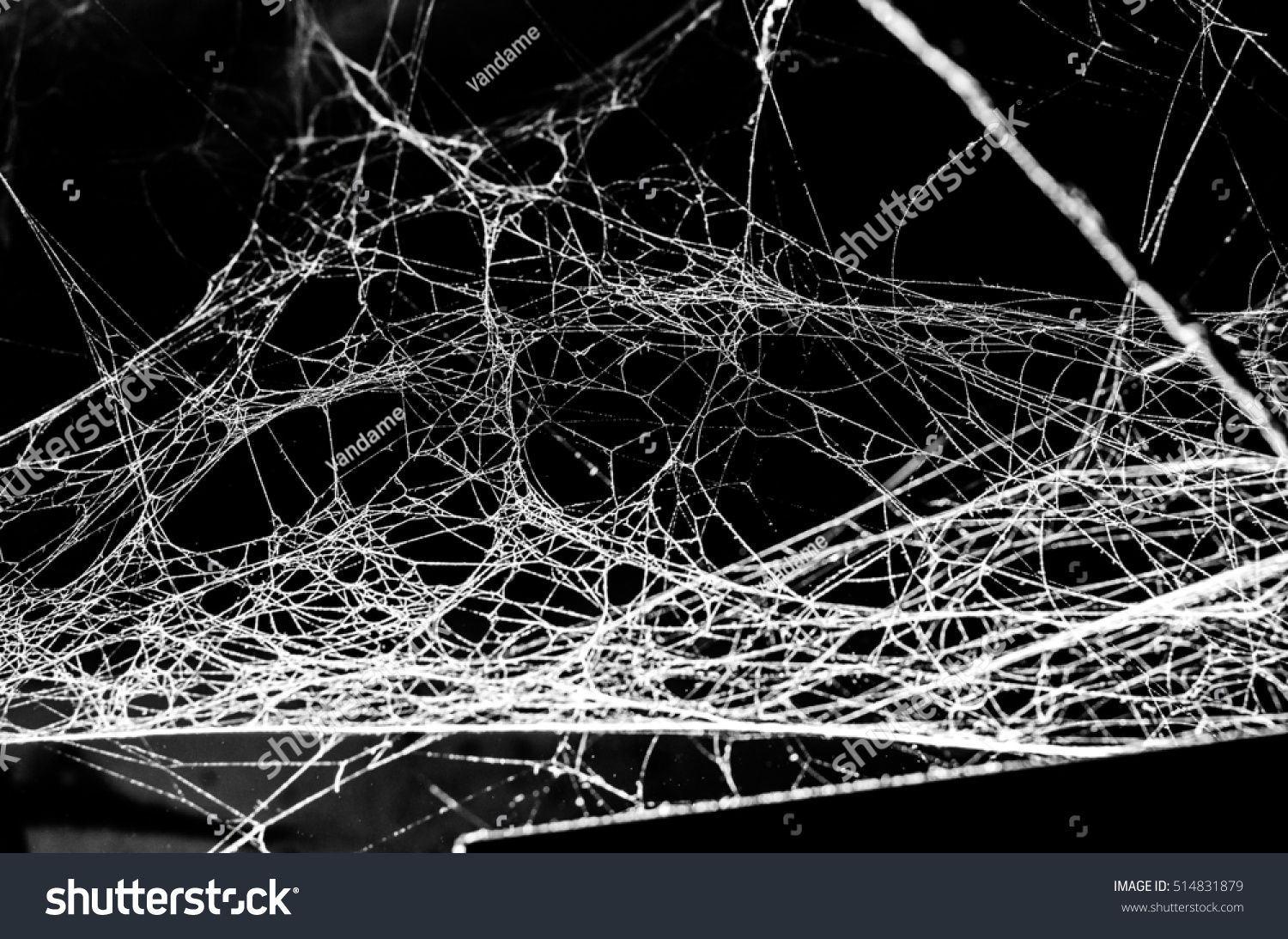 Wallpaper #yP_JaJMB3lSXT3zUg-SK45 1343 Triangle Spiders Web Images Stock Photos Vectors Shutterstock
