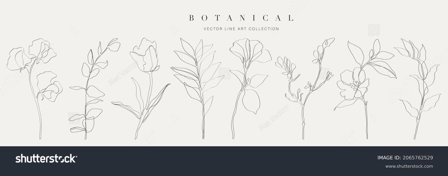 Wallpaper #Mpws4ZIBZHQxiYar27pq317 525154 Line Drawing Floral Vector Pattern Stock Vectors and Vector Art